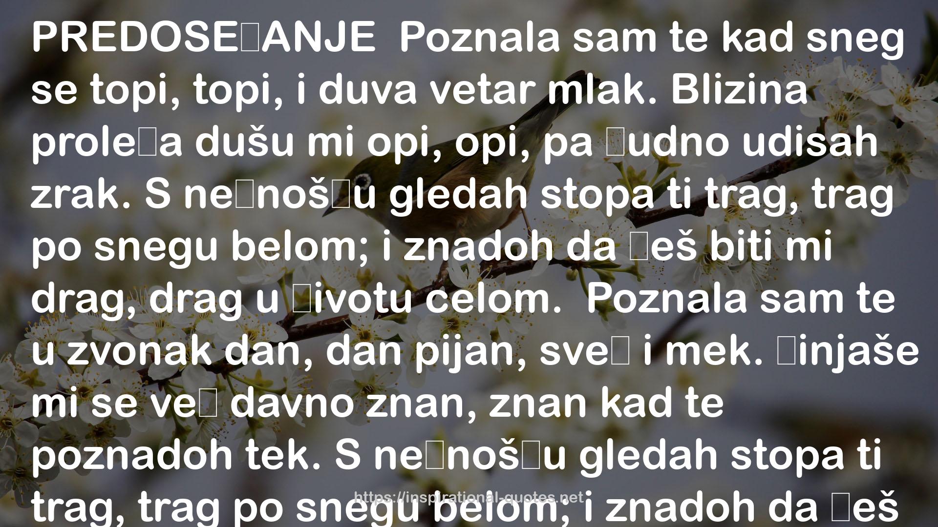 Desanka Maksimović QUOTES