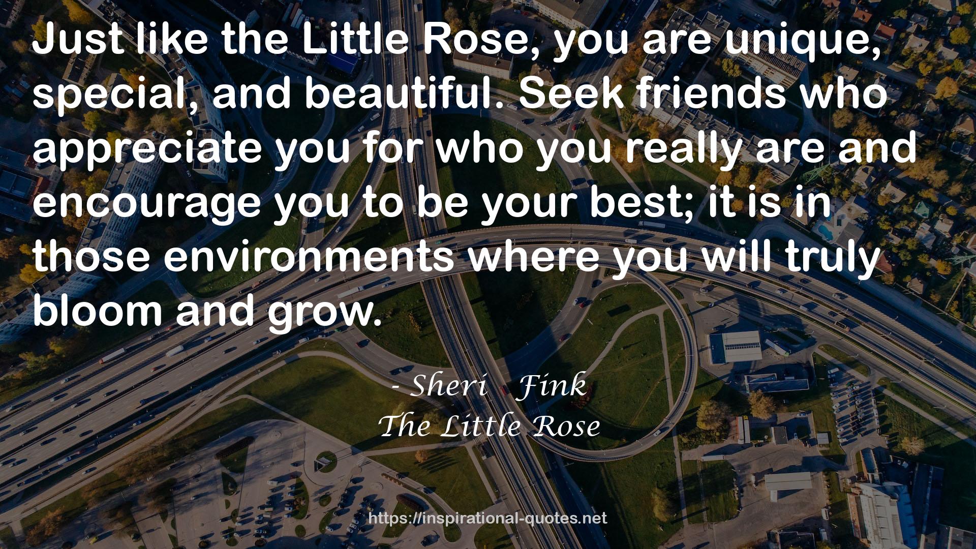 The Little Rose QUOTES