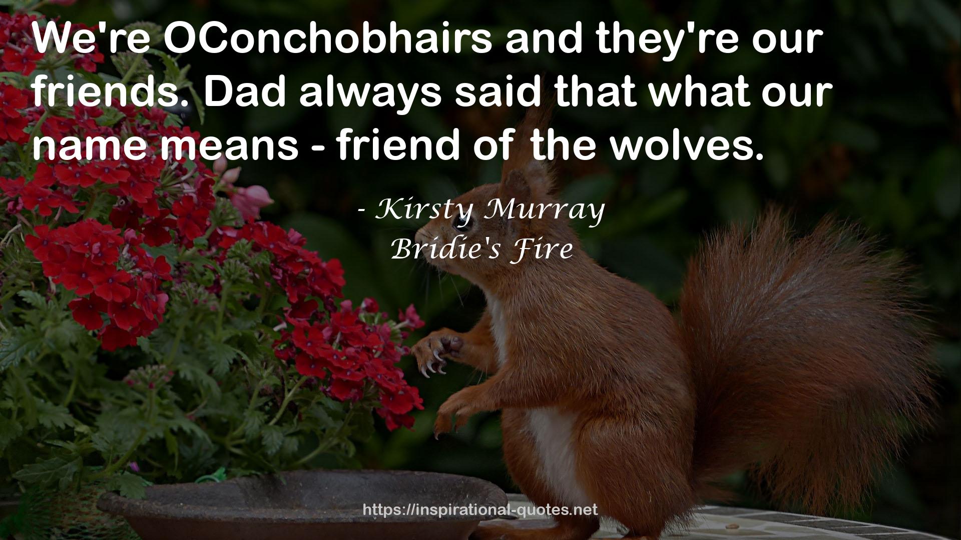 Bridie's Fire QUOTES