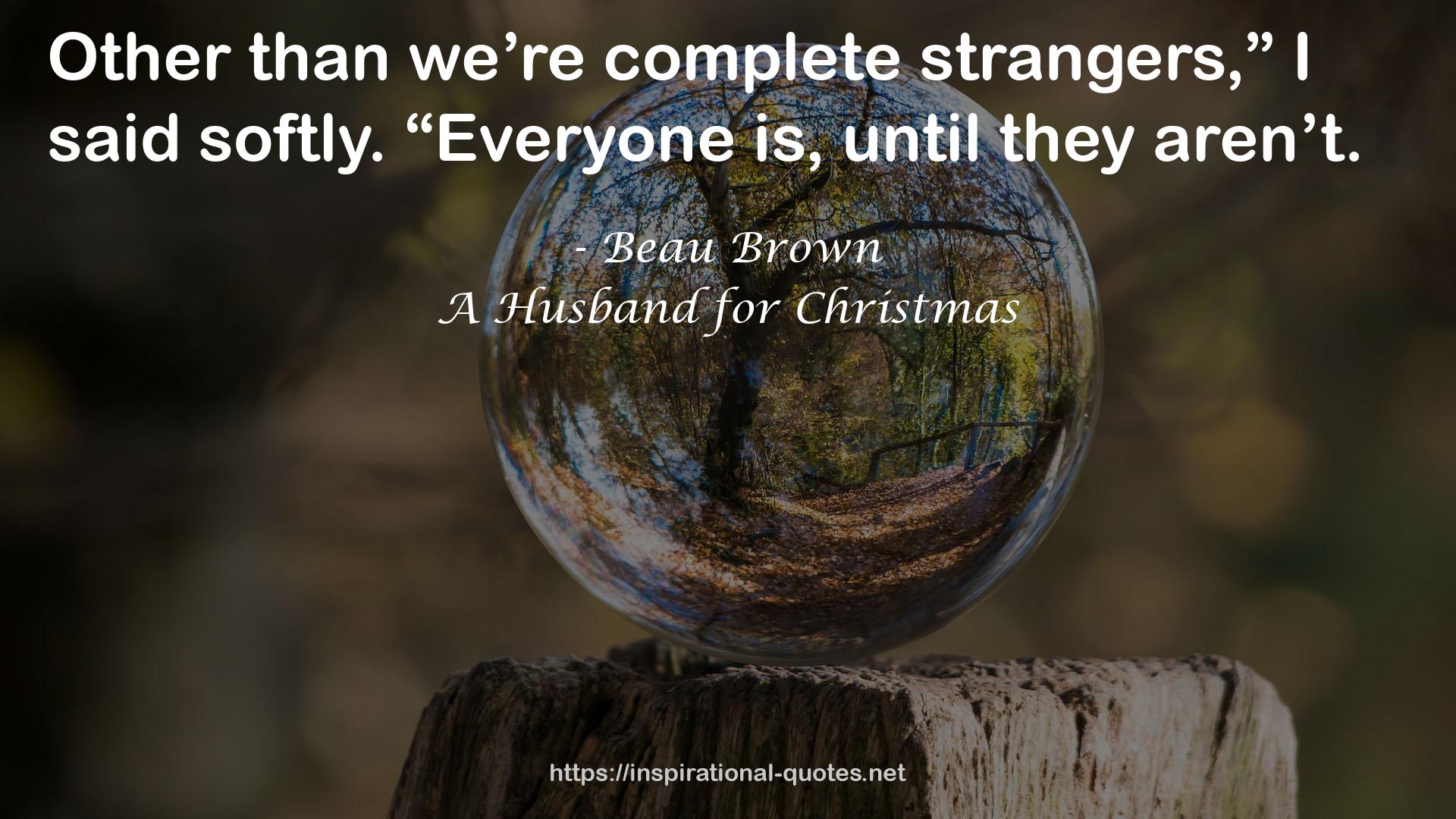 A Husband for Christmas QUOTES