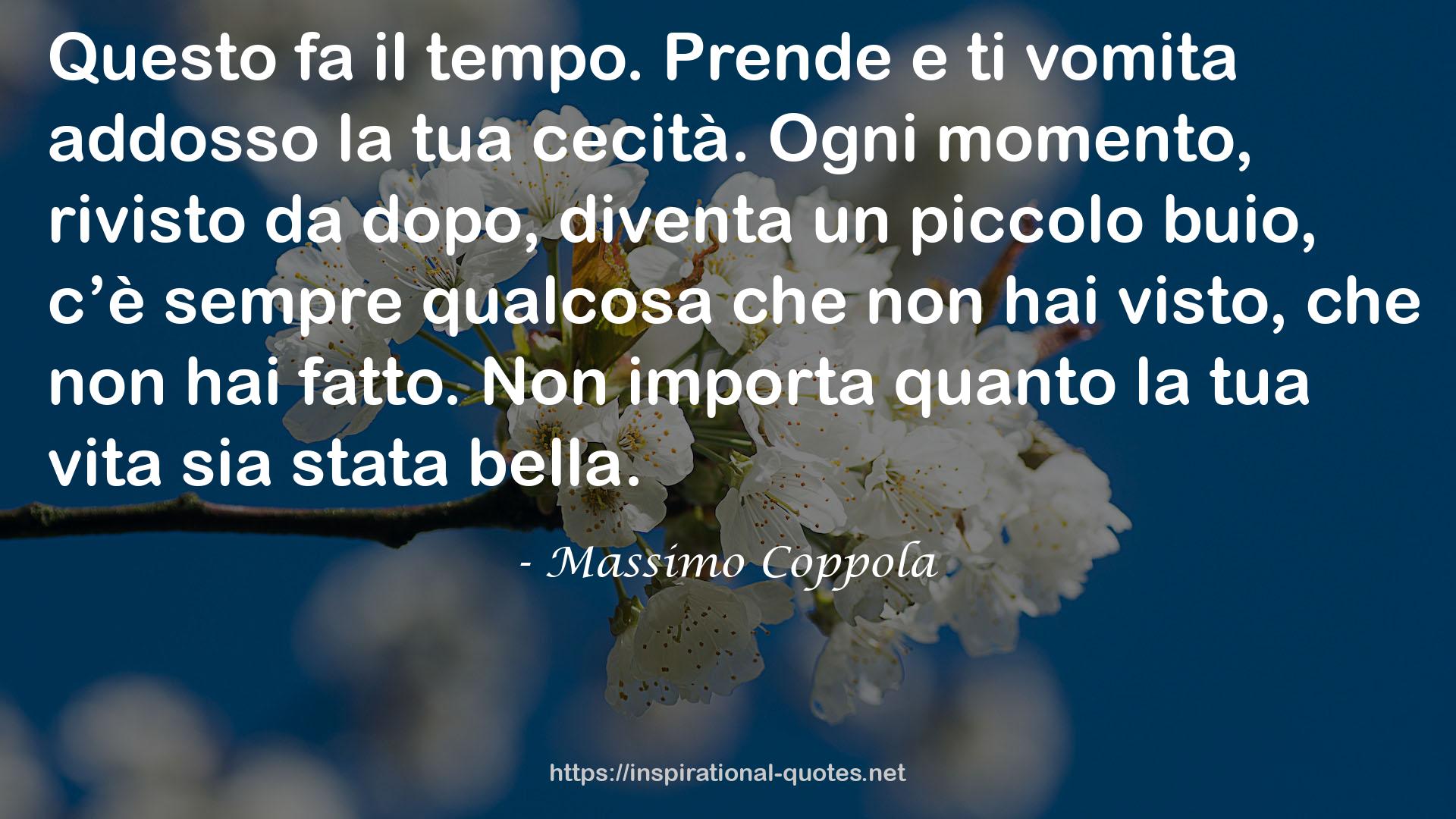 Massimo Coppola QUOTES