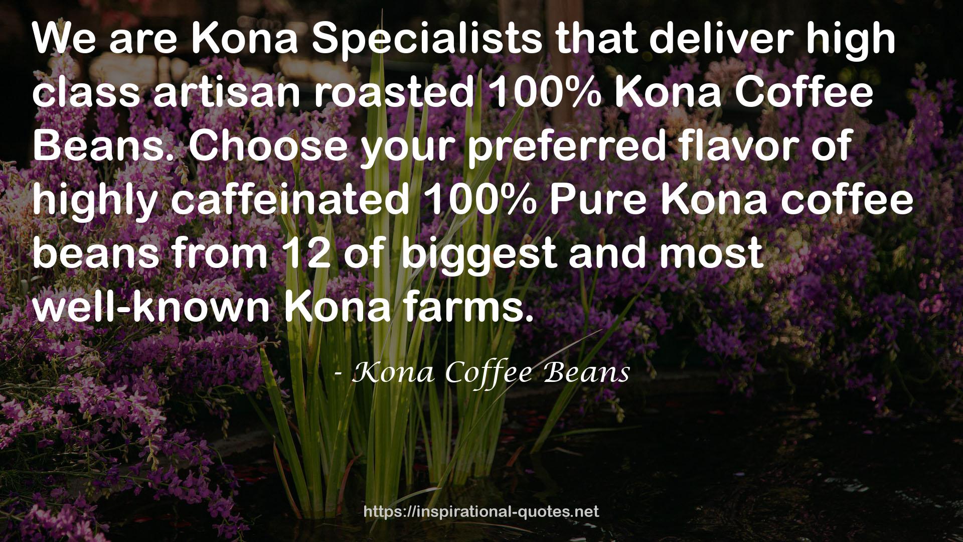 Kona Coffee Beans QUOTES