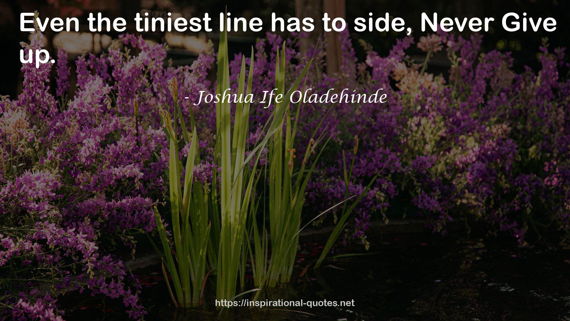 Joshua Ife Oladehinde QUOTES