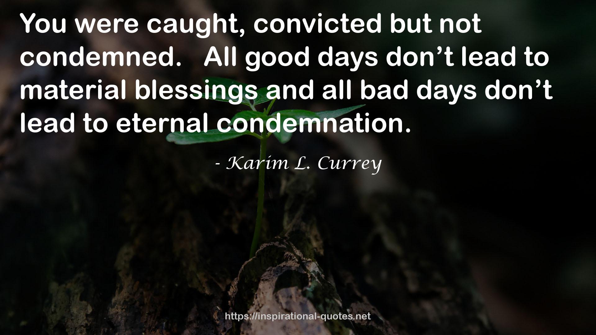 Karim L. Currey QUOTES