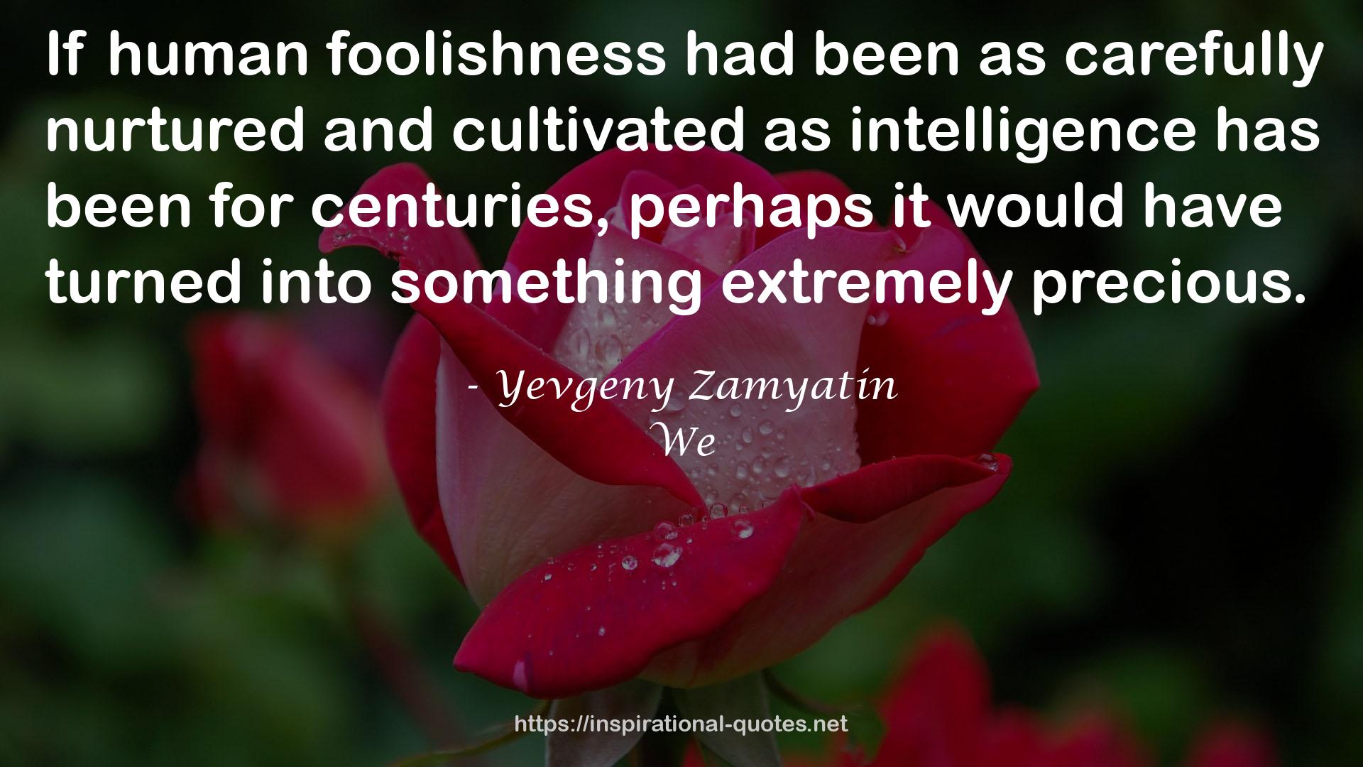 human foolishness  QUOTES