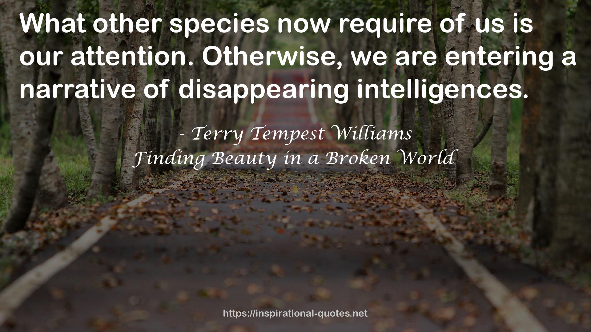 Finding Beauty in a Broken World QUOTES