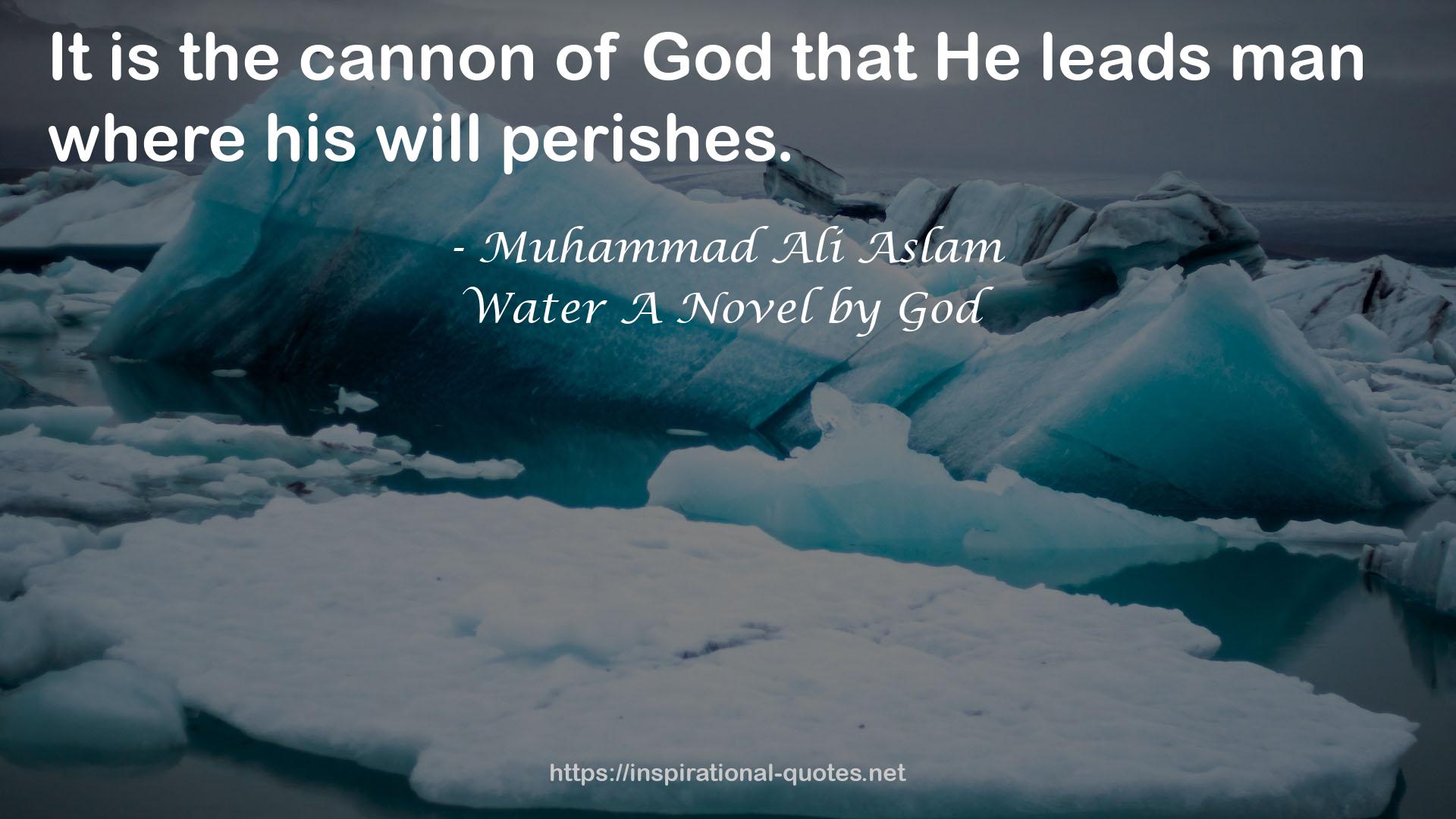 Water A Novel by God QUOTES