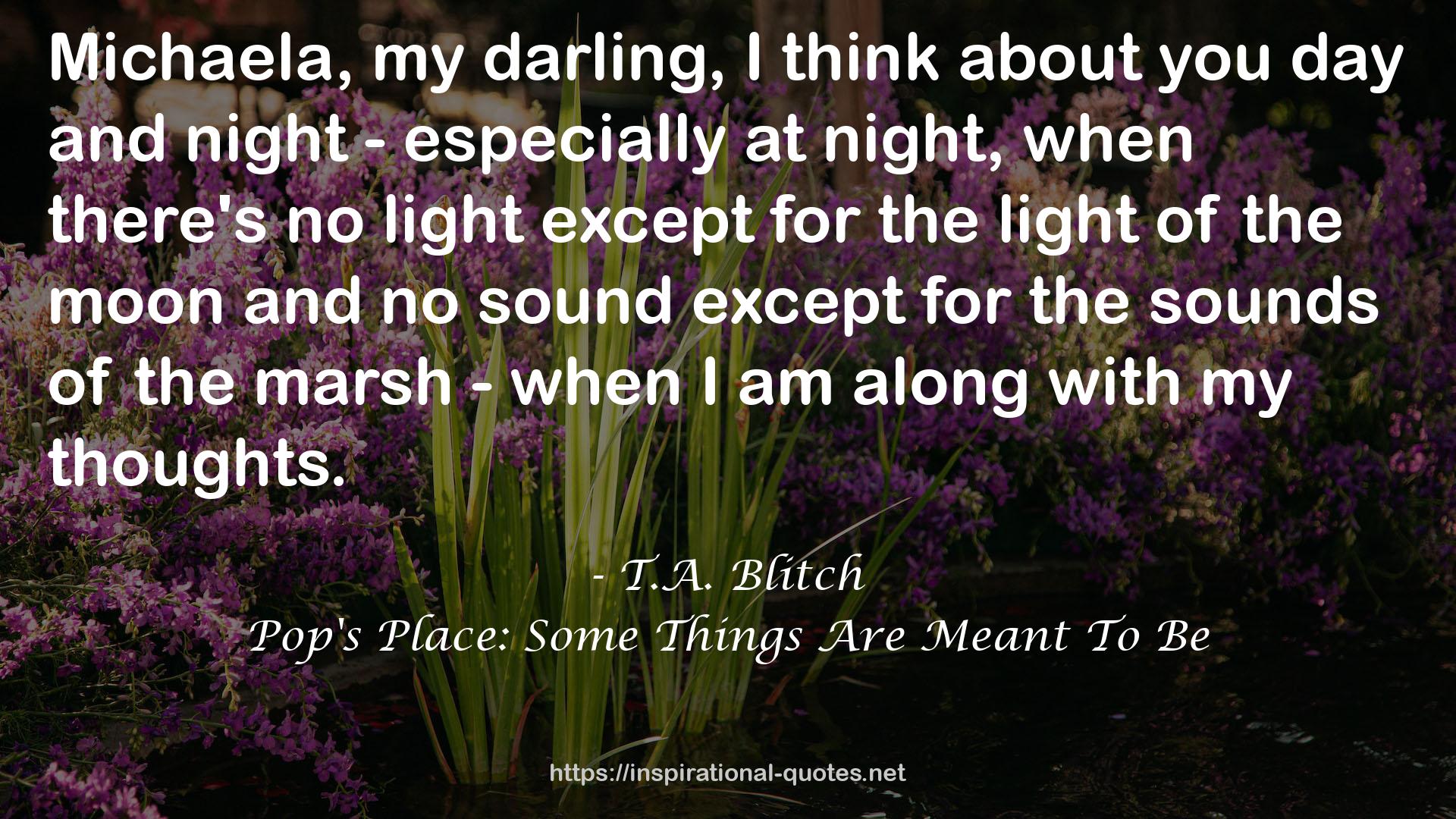 T.A. Blitch QUOTES