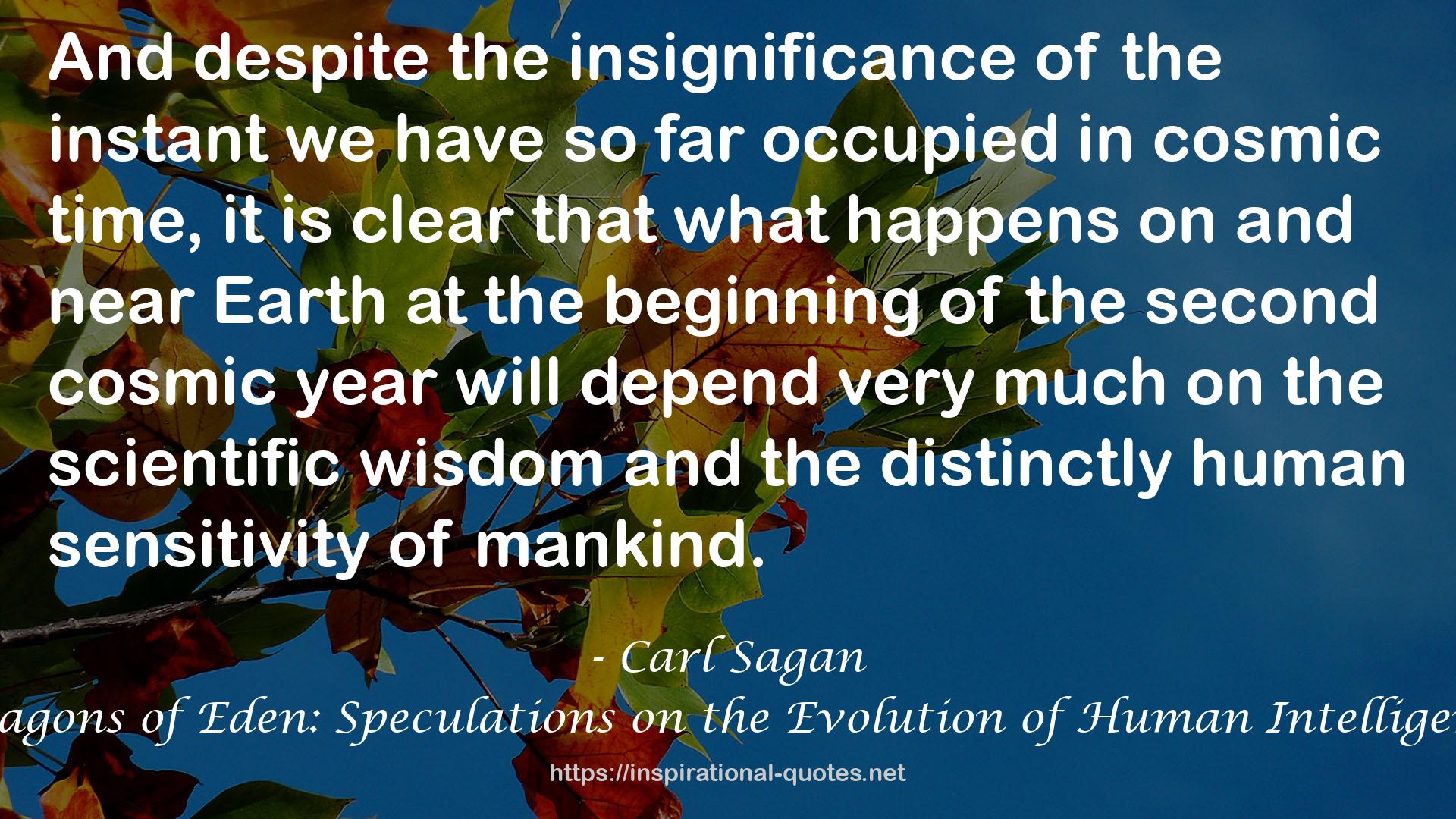 the second cosmic year  QUOTES