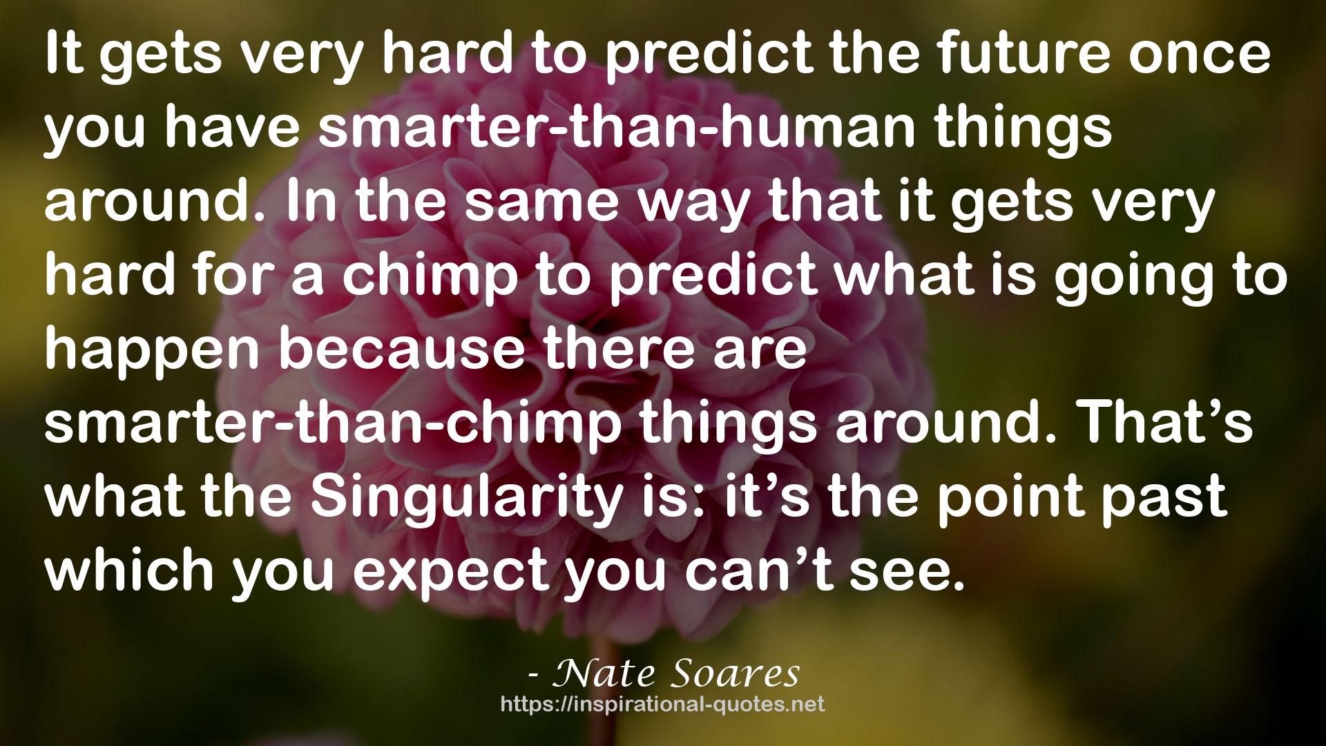 smarter-than-chimp things  QUOTES