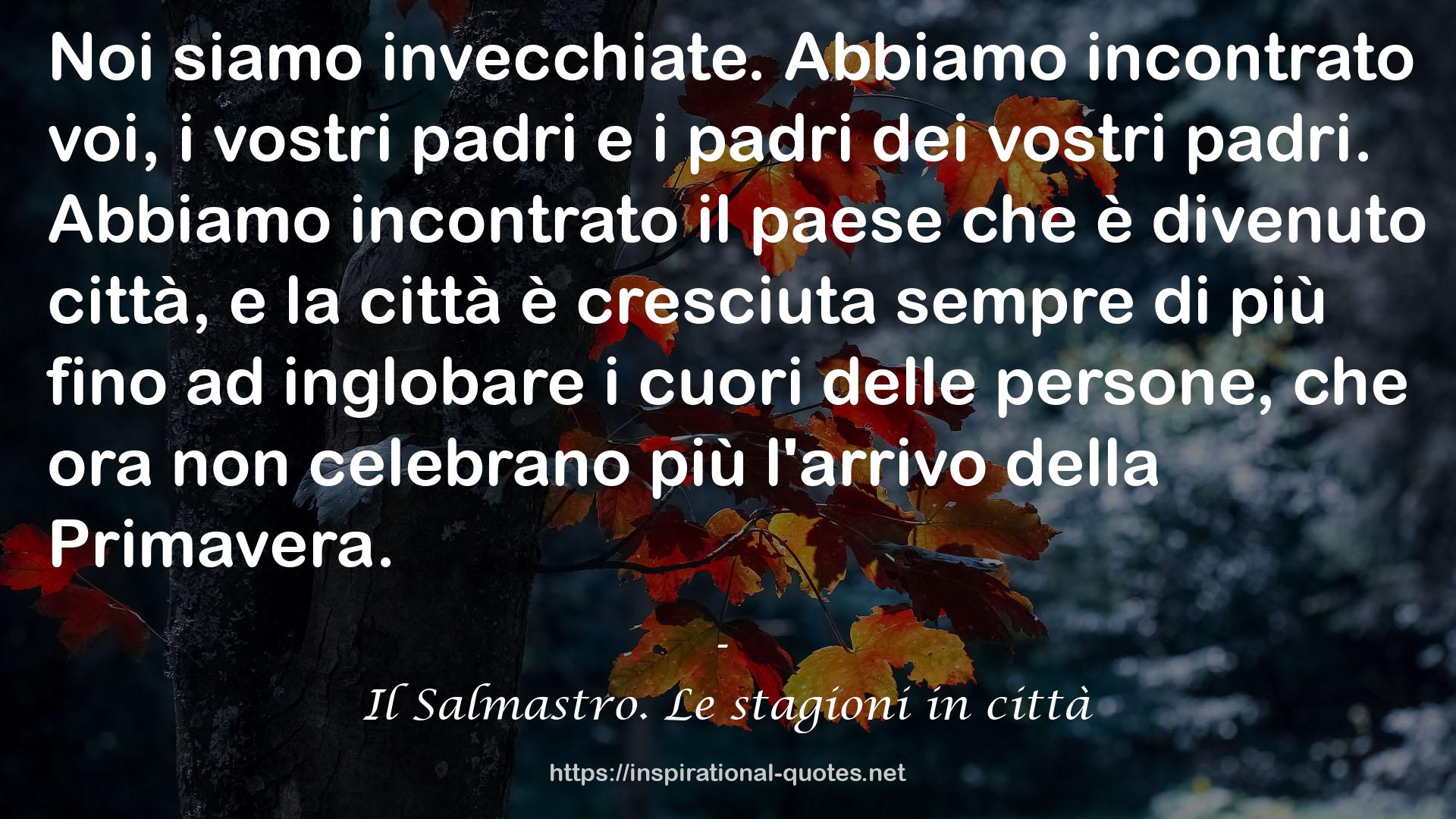 Il Salmastro. Le stagioni in città QUOTES