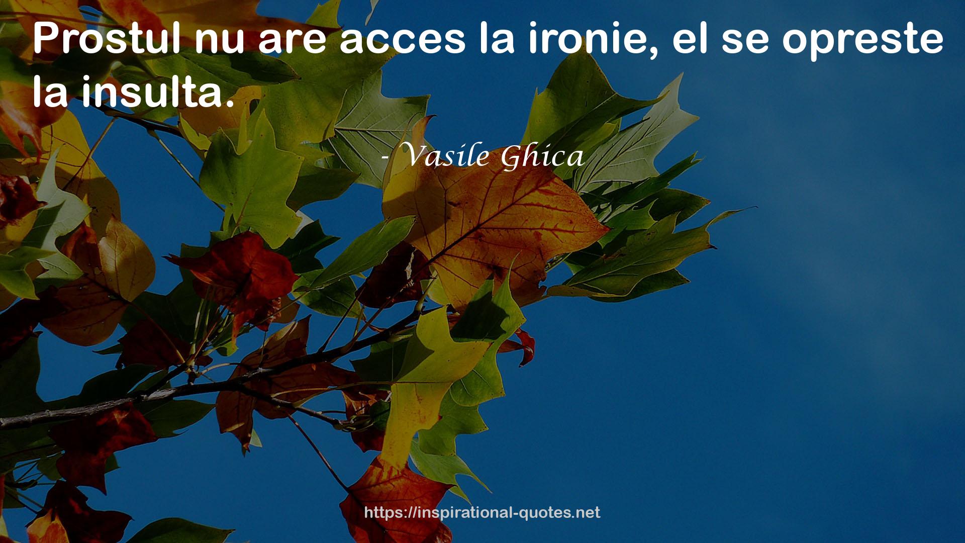 Vasile Ghica QUOTES