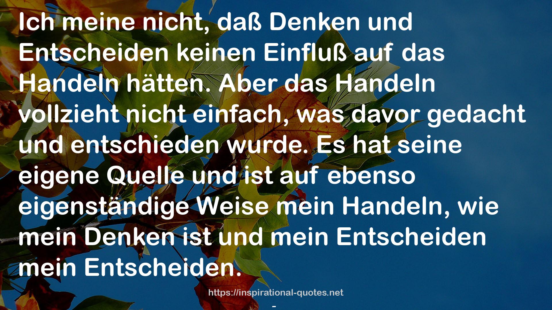 Der Vorleser (Königs Erläuterungen) QUOTES