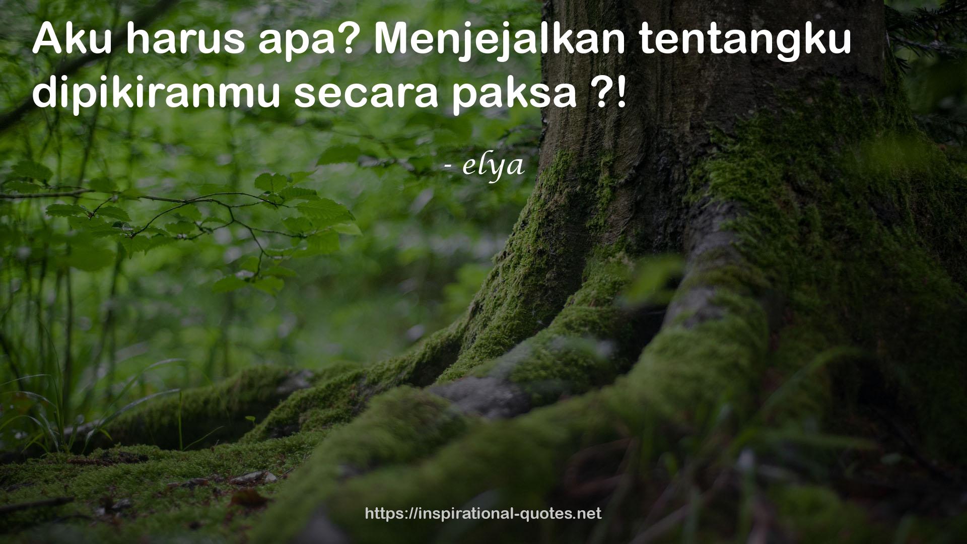 elya QUOTES