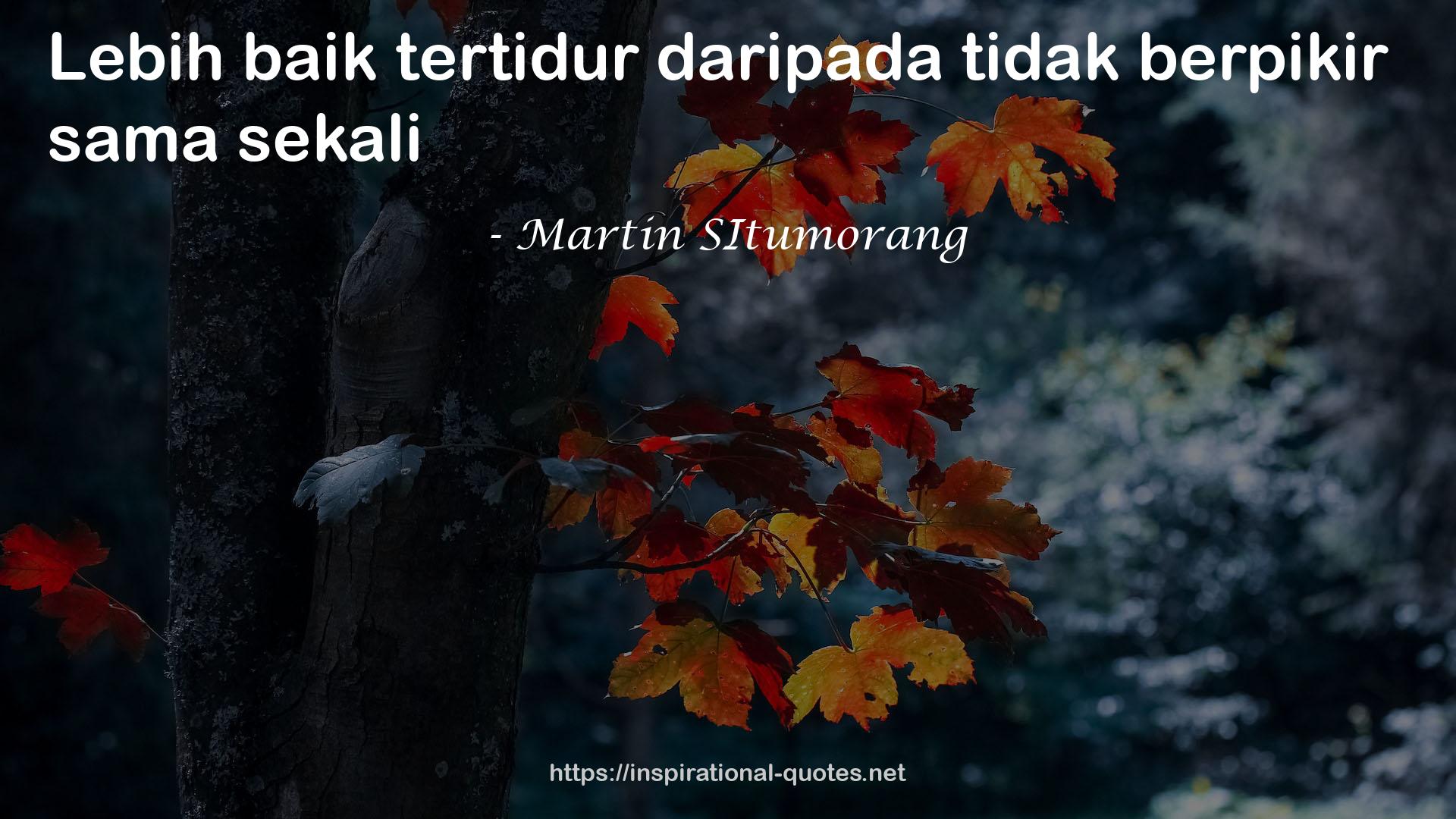 Martin SItumorang QUOTES