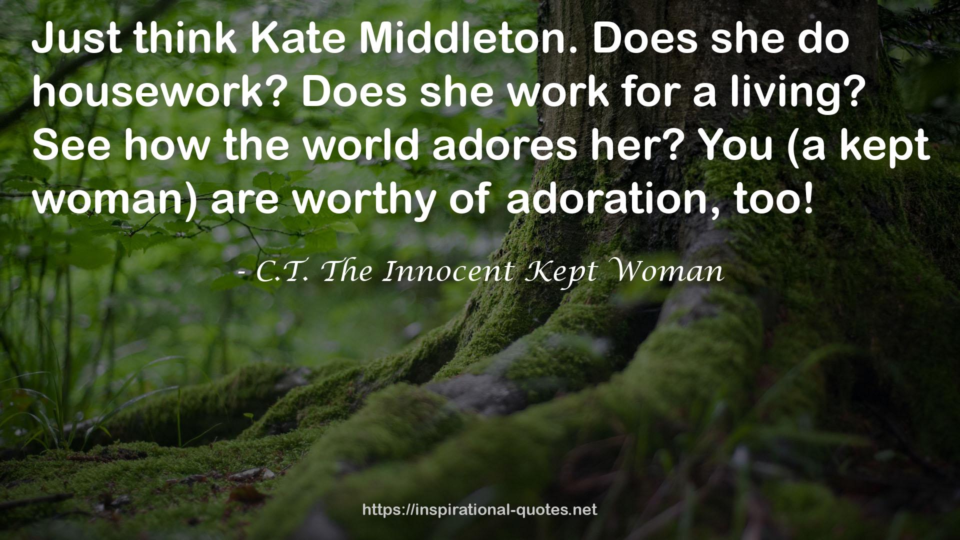 C.T. The Innocent Kept Woman QUOTES