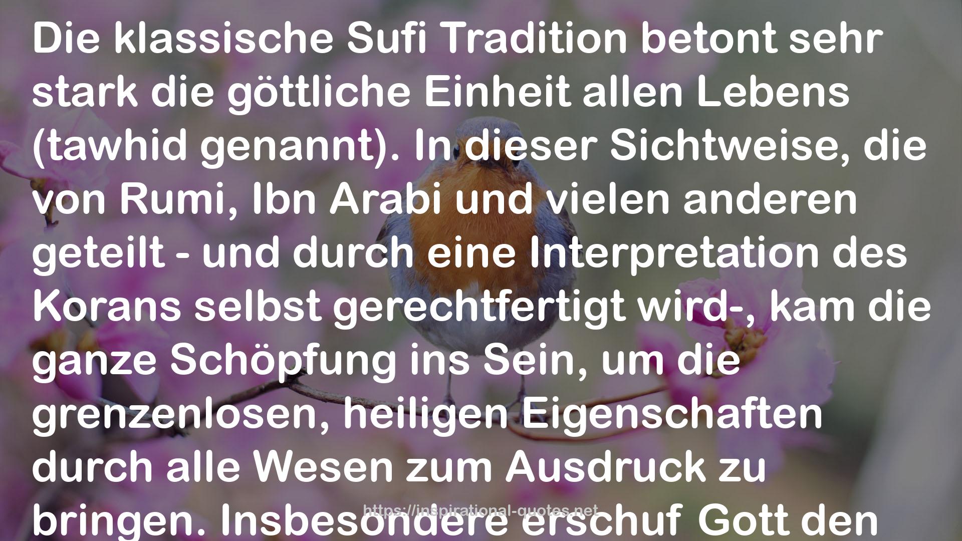 Sufibuch des Lebens • 99 Meditationen der Liebe QUOTES