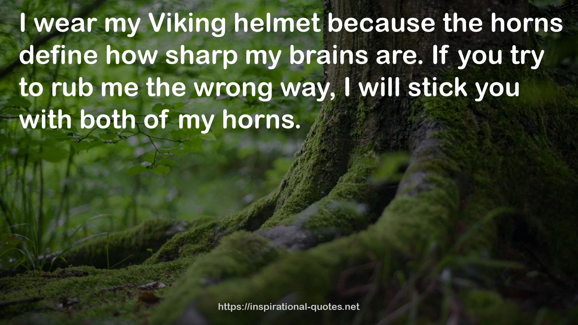 Viking  QUOTES