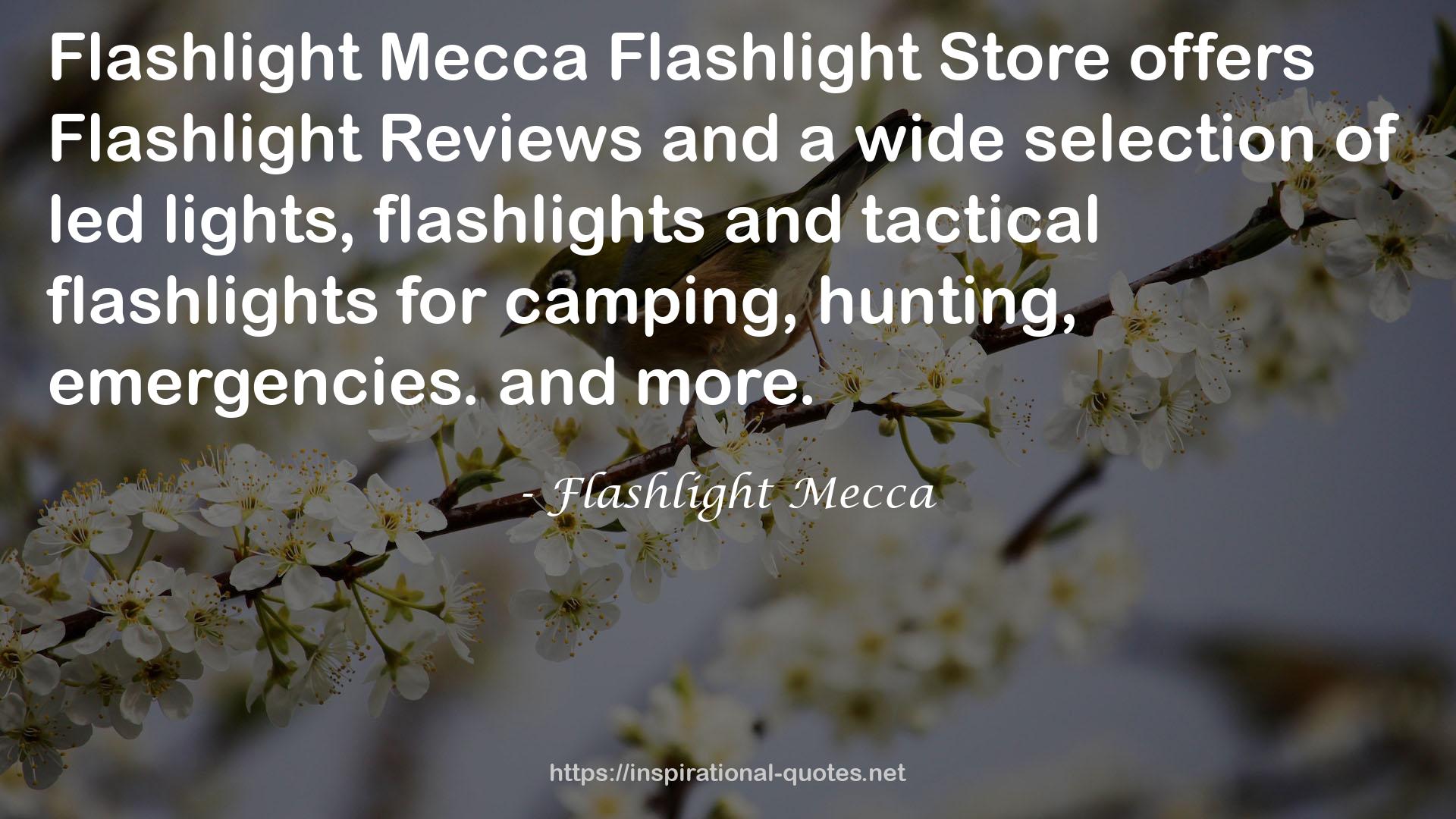 Flashlight Mecca QUOTES