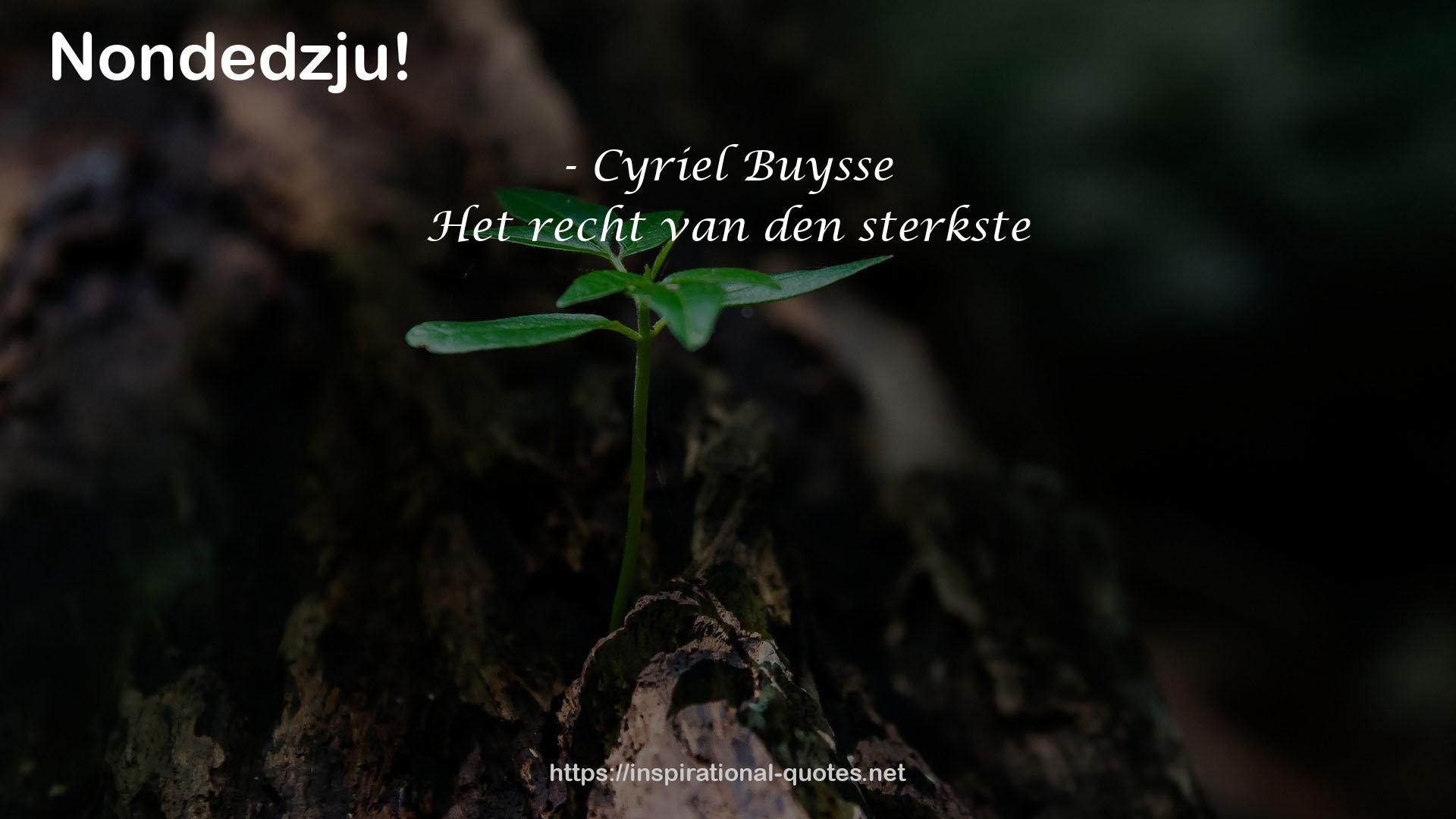 Cyriel Buysse QUOTES