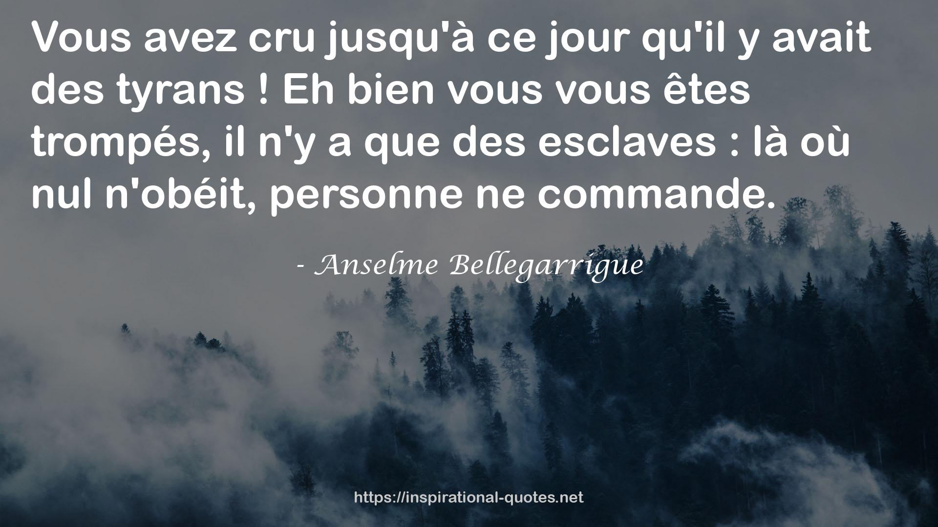 Anselme Bellegarrigue QUOTES