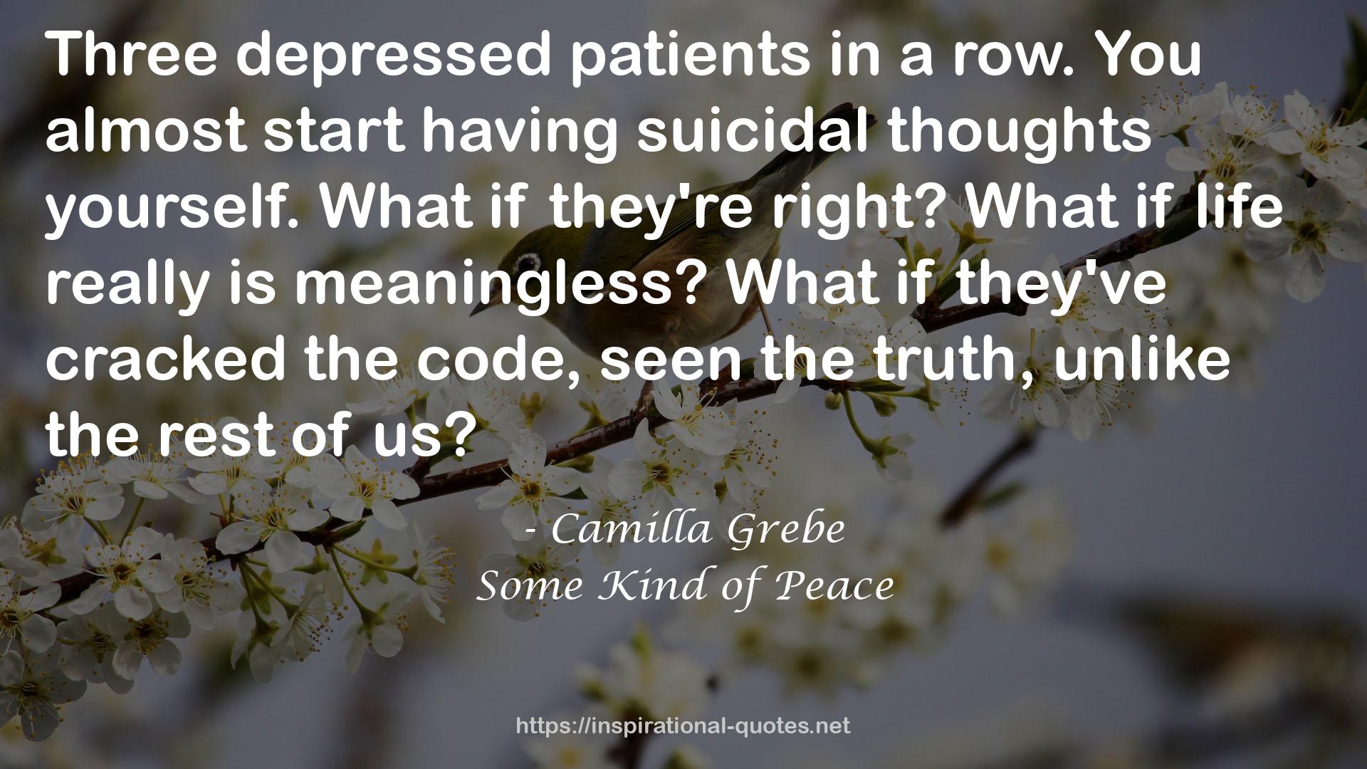 Camilla Grebe QUOTES