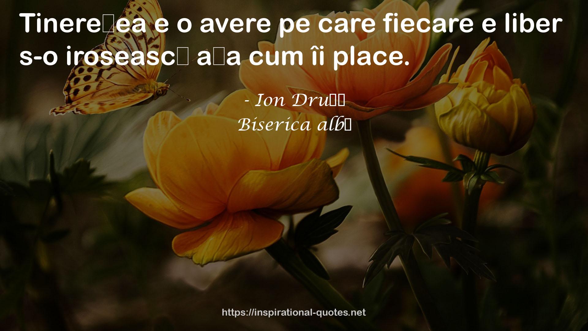 Biserica albă QUOTES