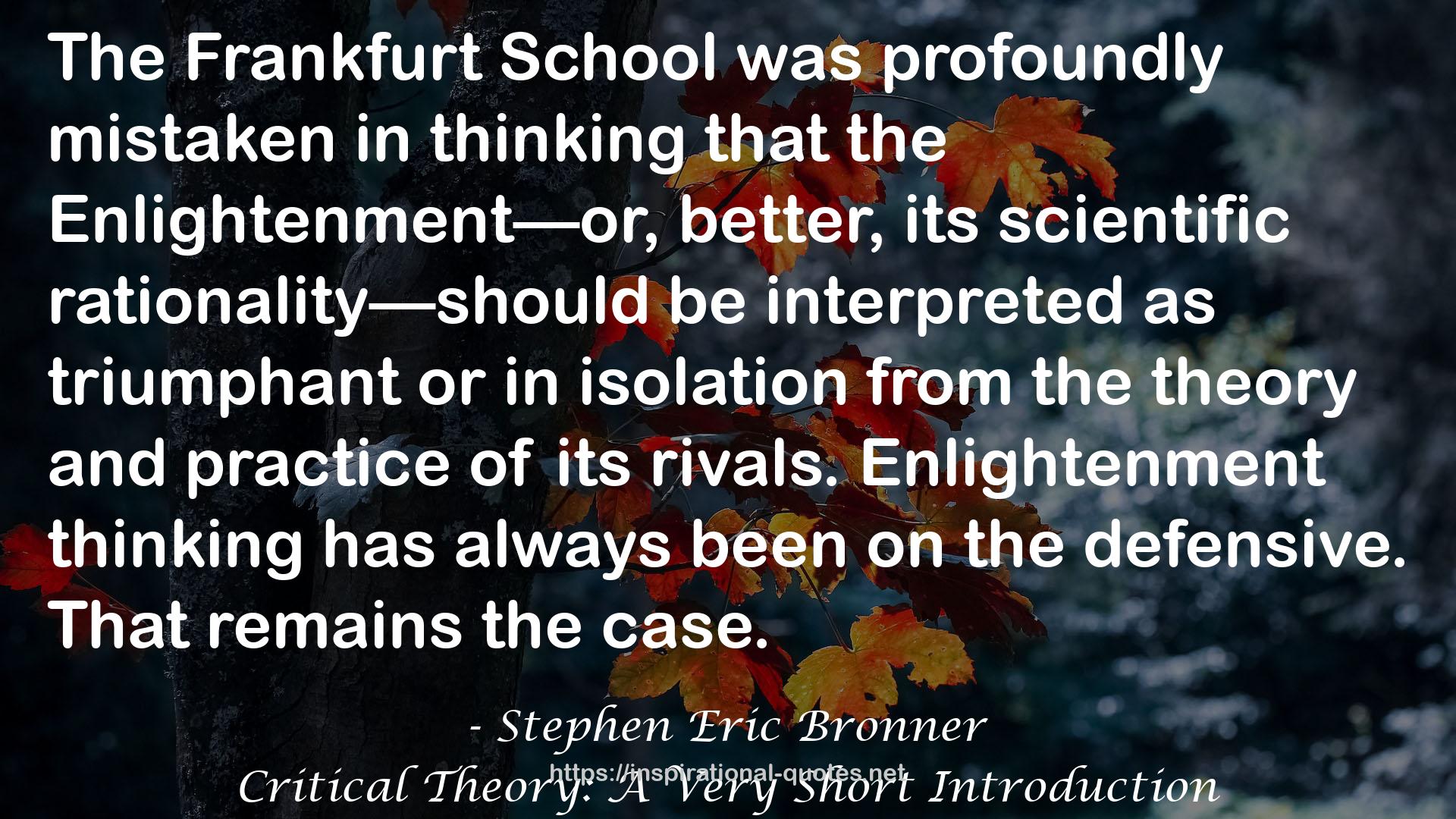 Critical Theory: A Very Short Introduction QUOTES