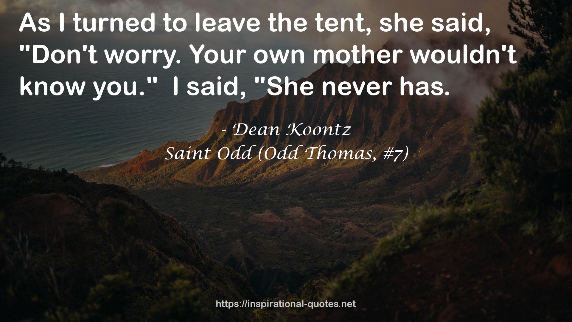 Saint Odd (Odd Thomas, #7) QUOTES