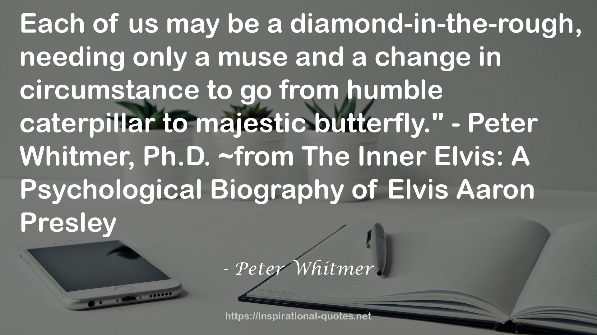 Peter Whitmer QUOTES