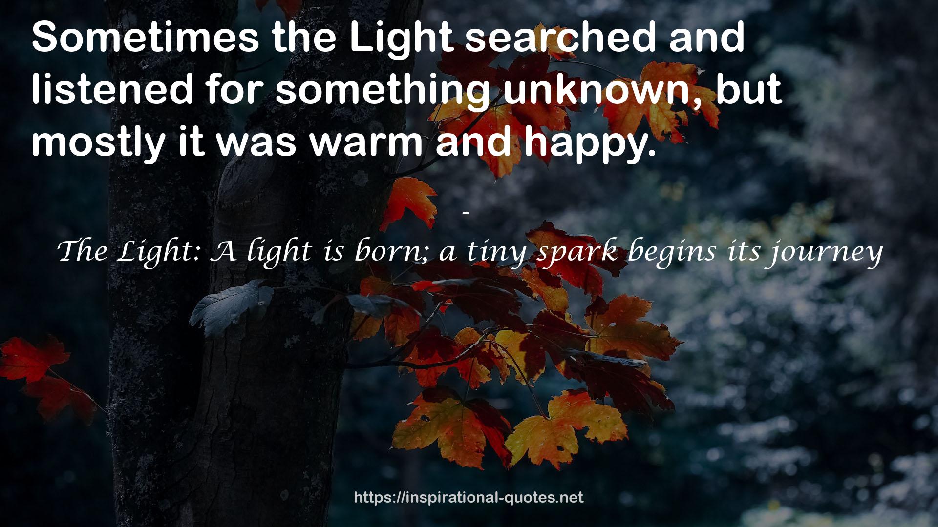 The Light: A light is born; a tiny spark begins its journey QUOTES