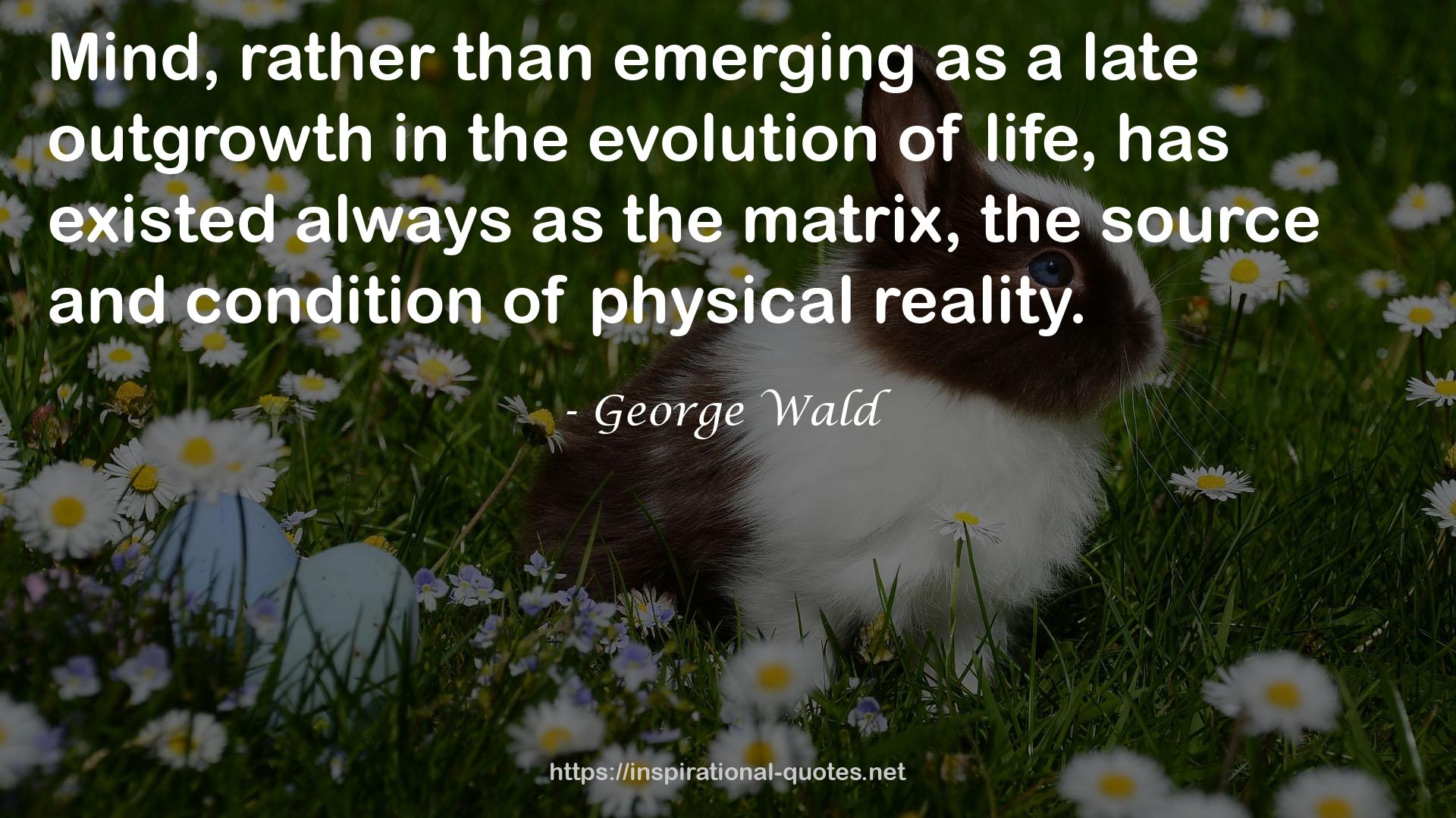 George Wald QUOTES