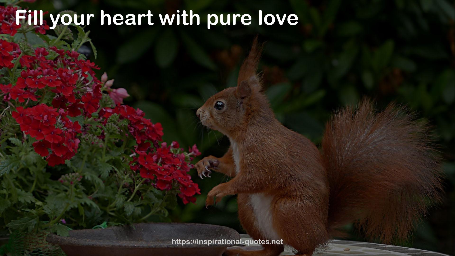 pure love  QUOTES