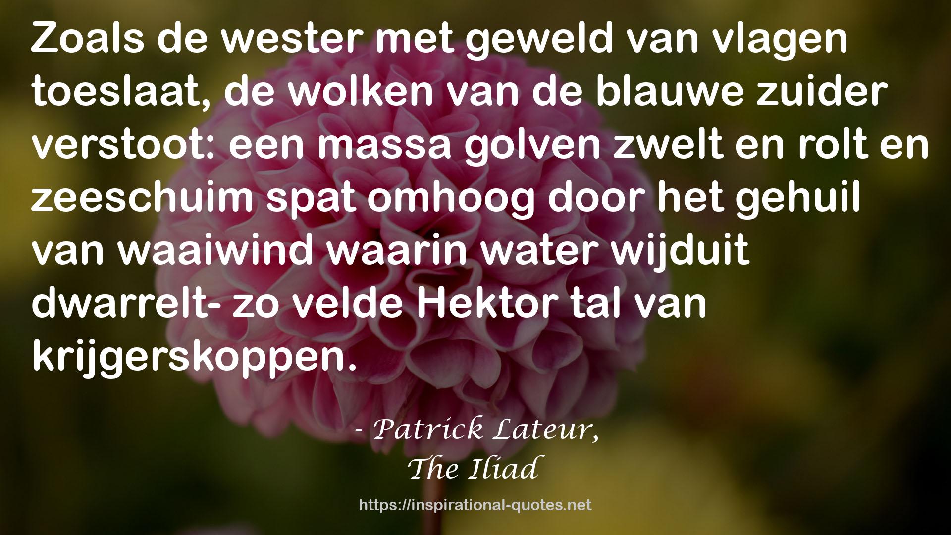 Patrick Lateur, QUOTES