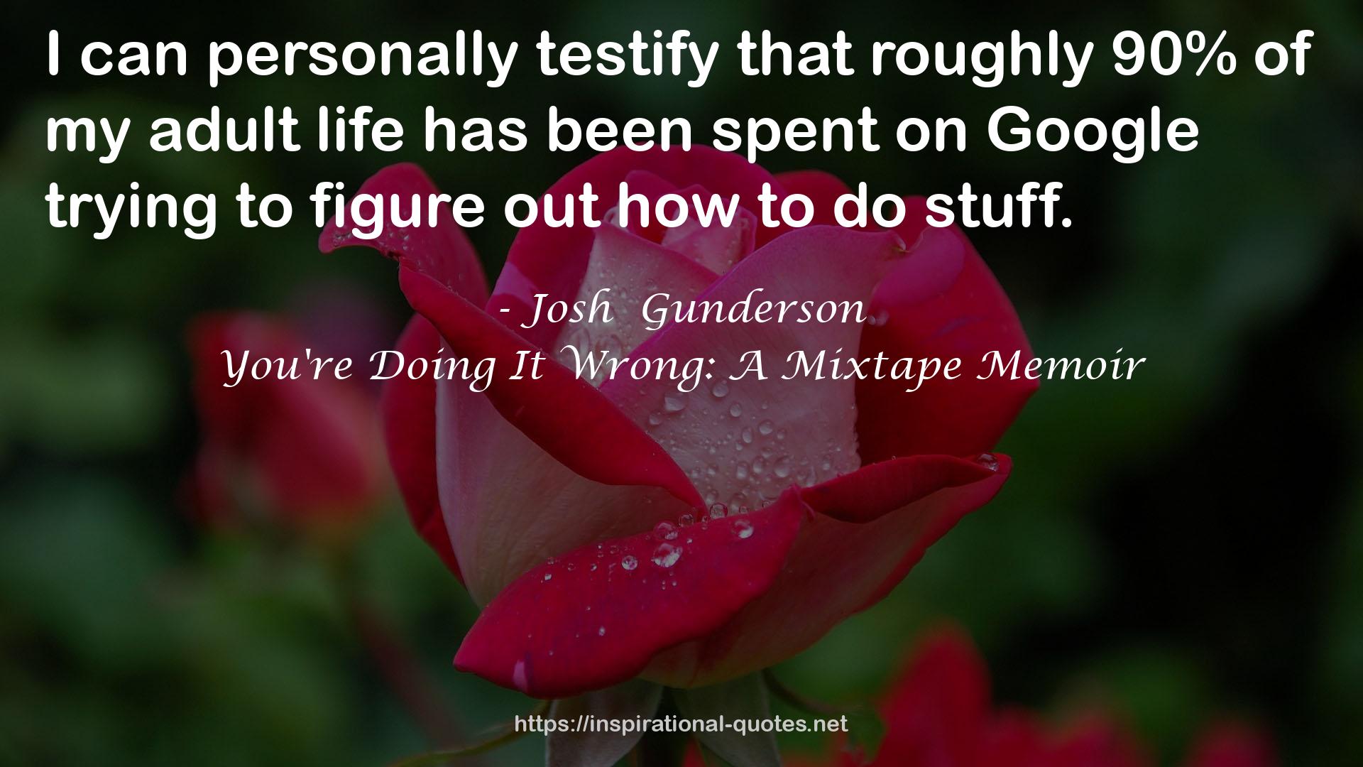 Josh  Gunderson QUOTES