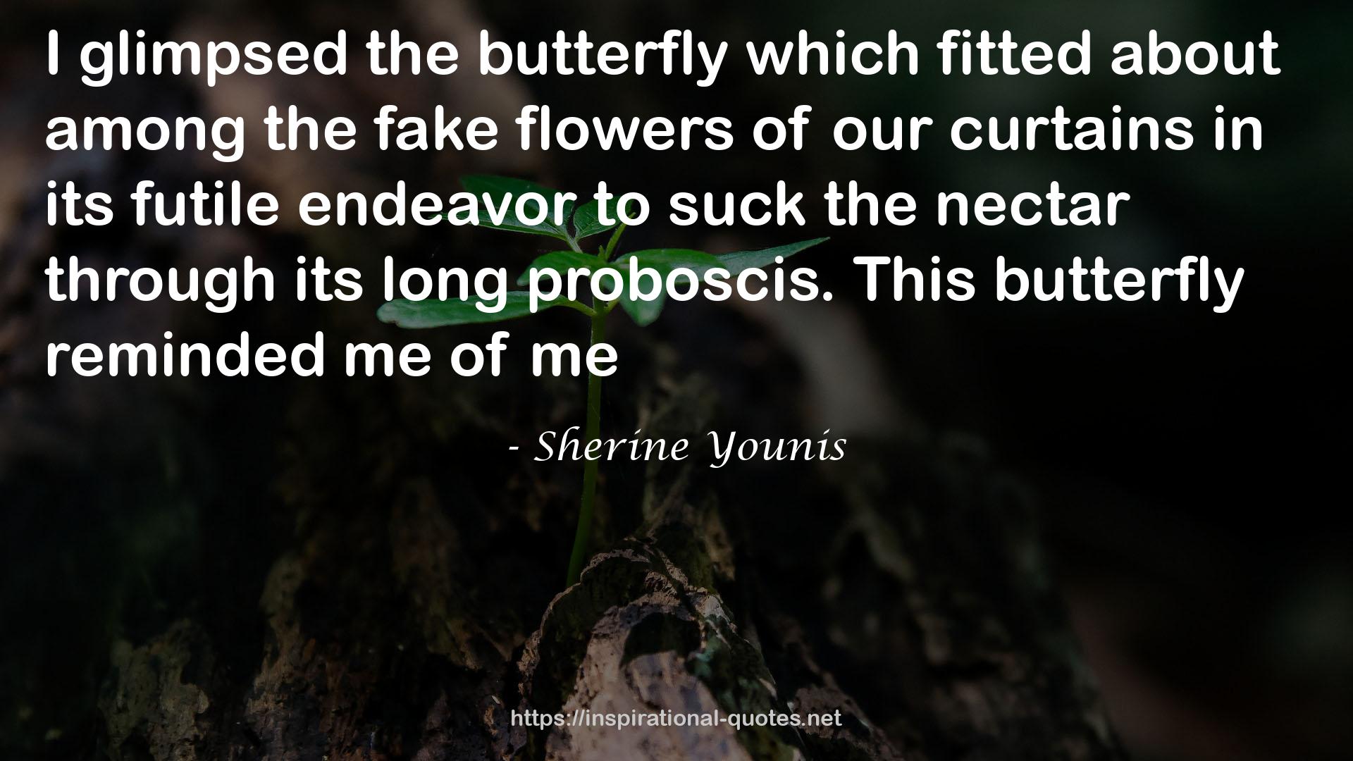 Sherine Younis QUOTES