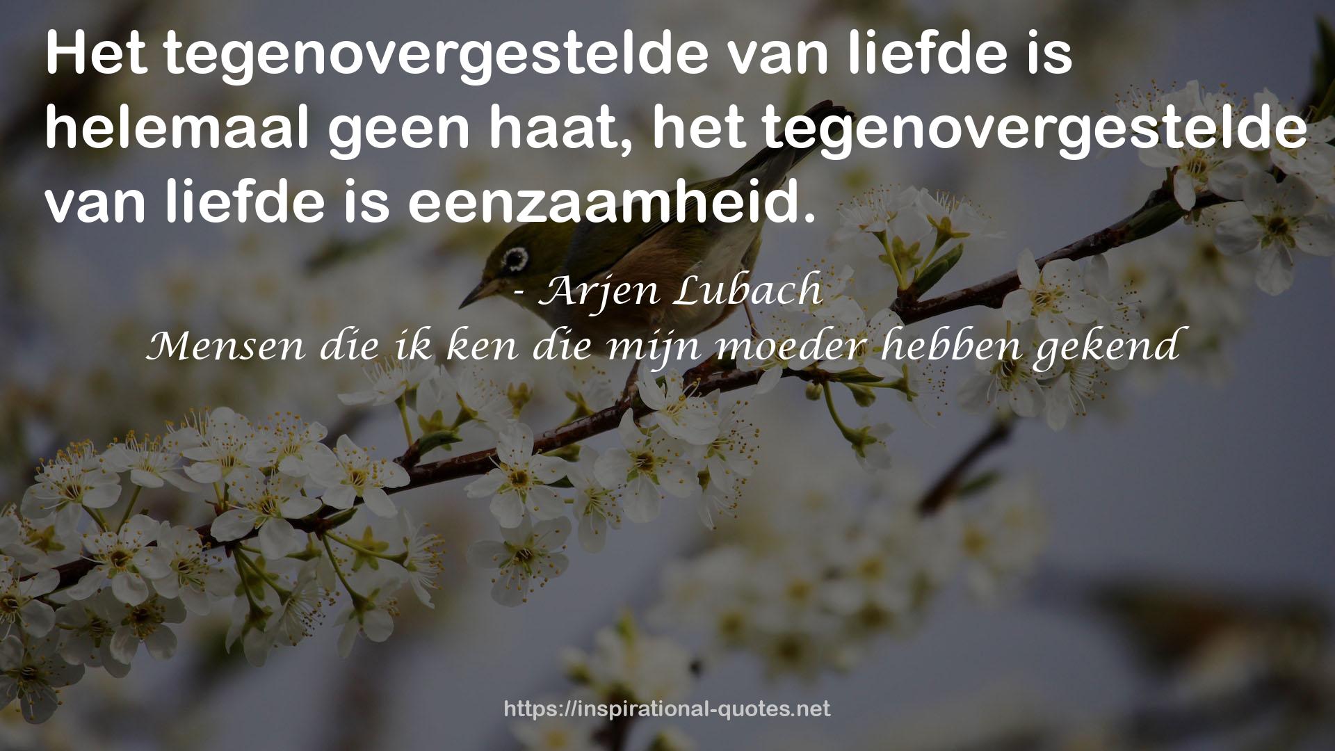 Arjen Lubach QUOTES