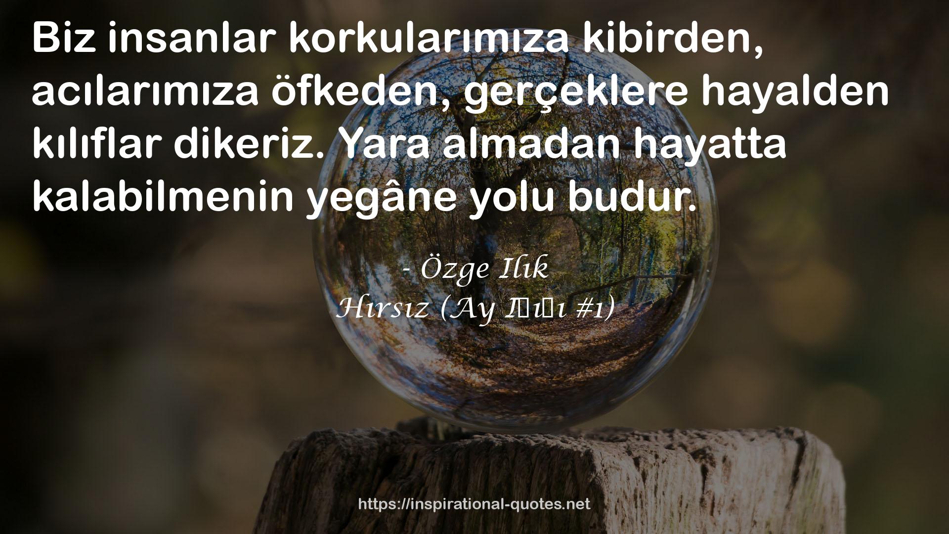 Hırsız (Ay Işığı #1) QUOTES