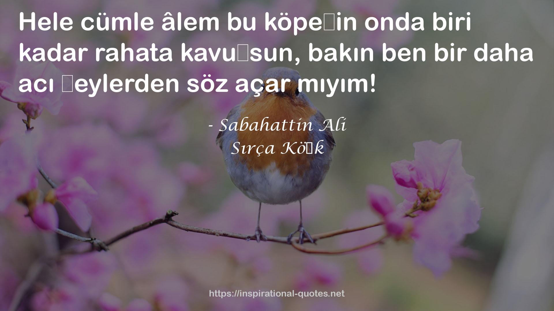 Sırça Köşk QUOTES