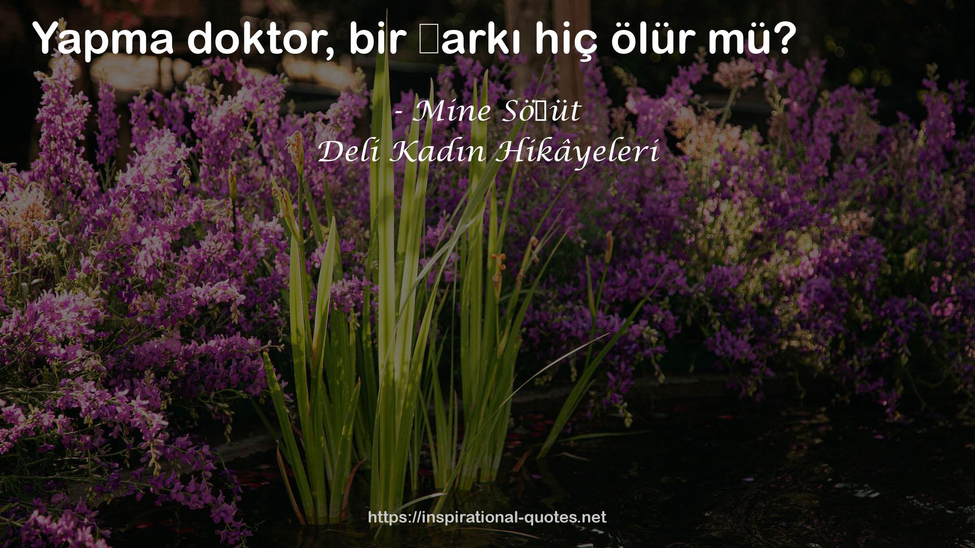 Deli Kadın Hikâyeleri QUOTES