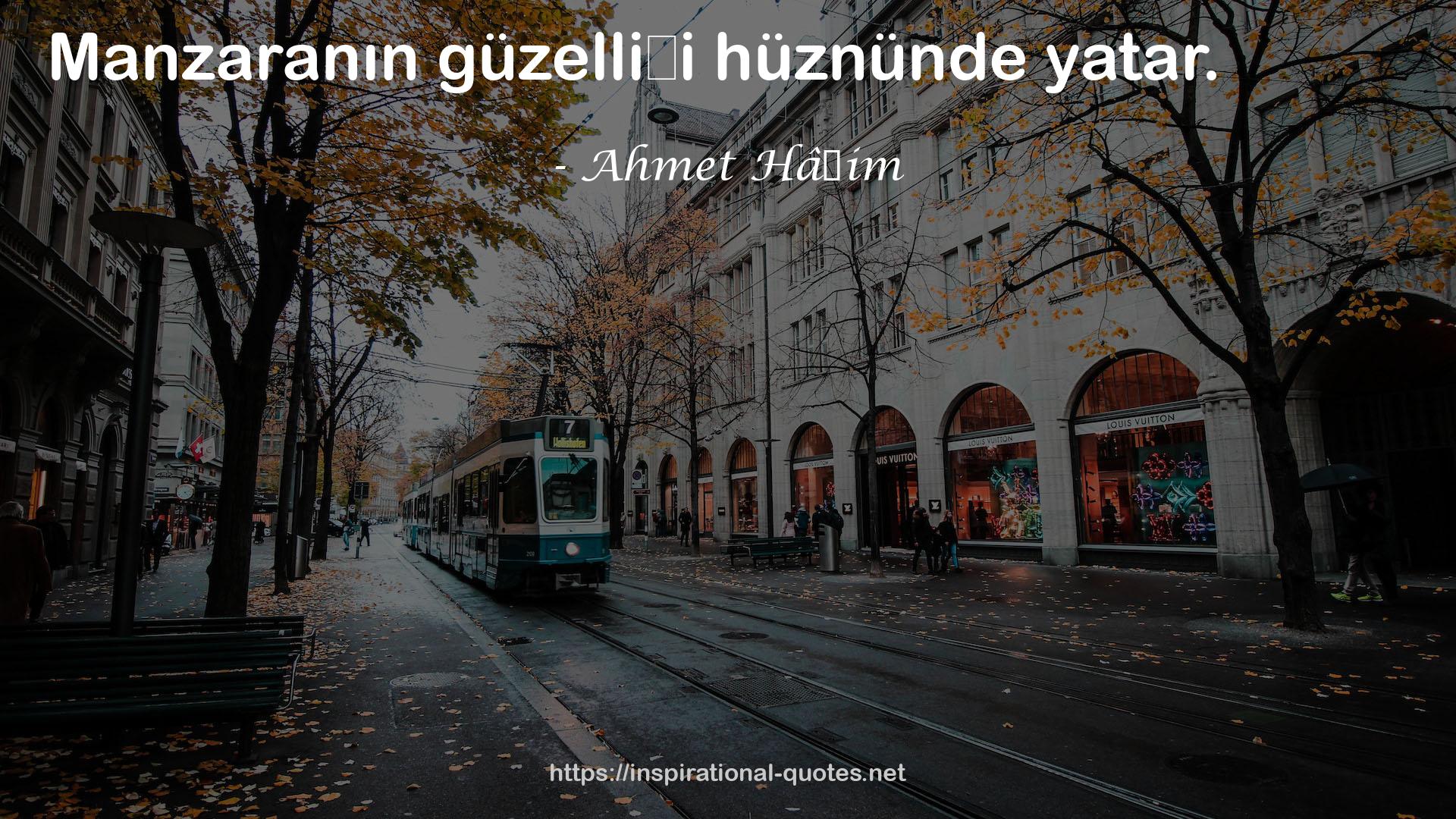 Ahmet Hâşim QUOTES
