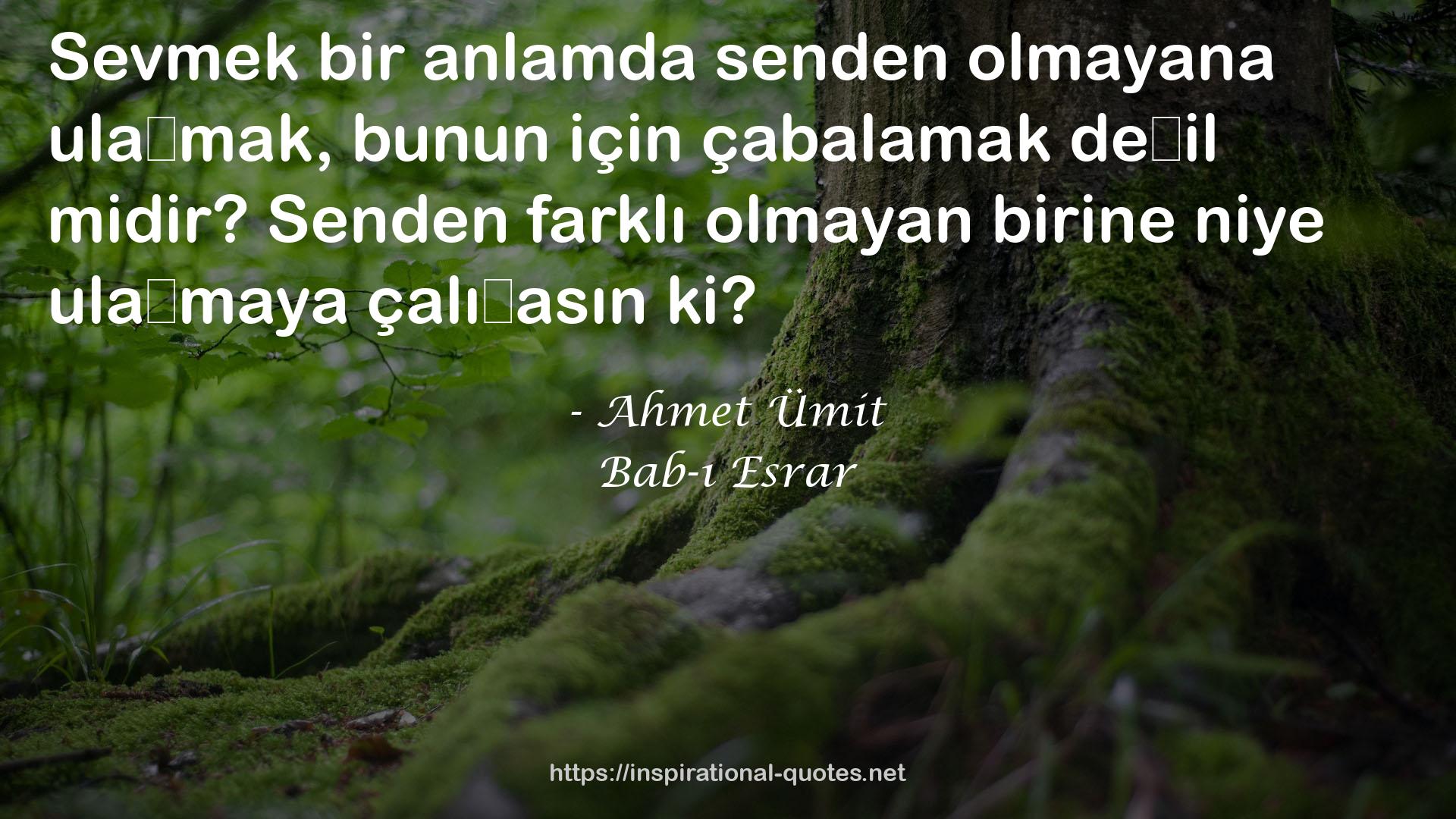 Bab-ı Esrar QUOTES