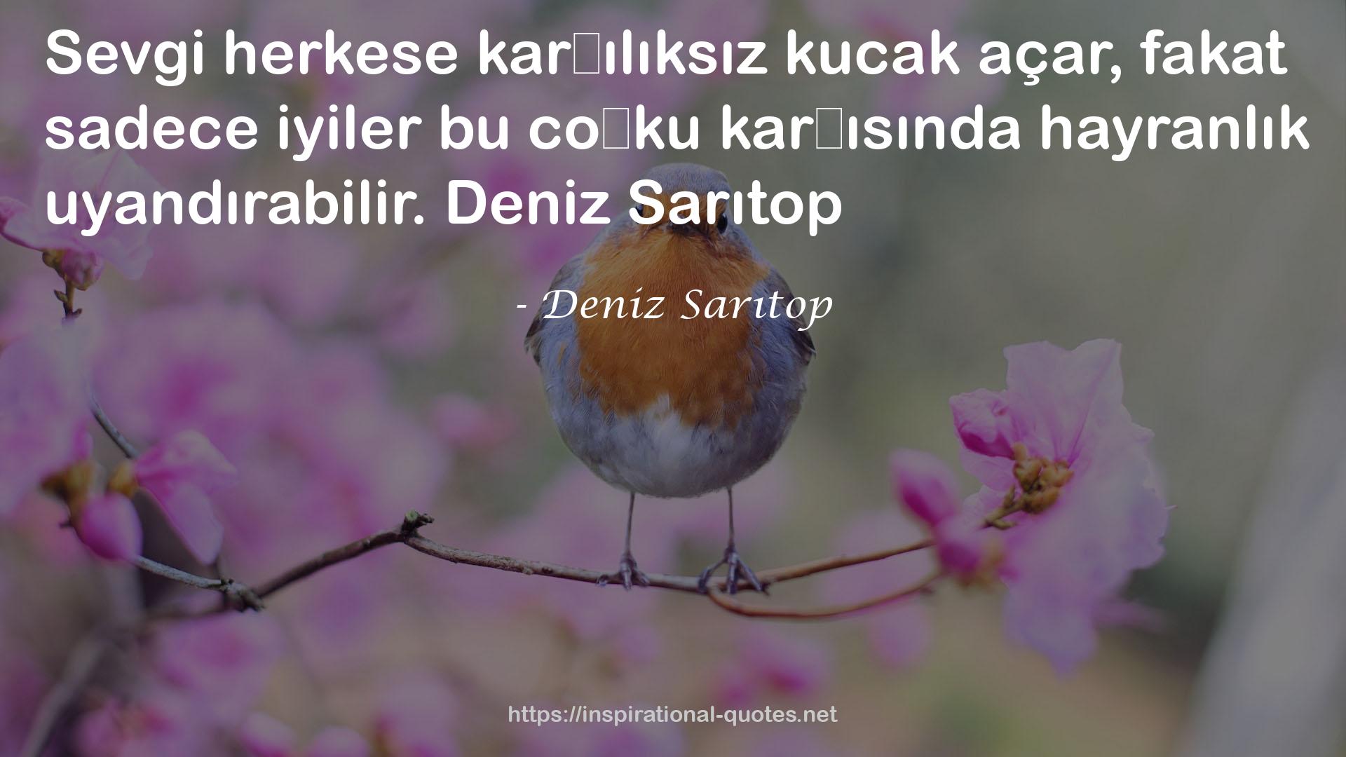 Deniz Sarıtop QUOTES