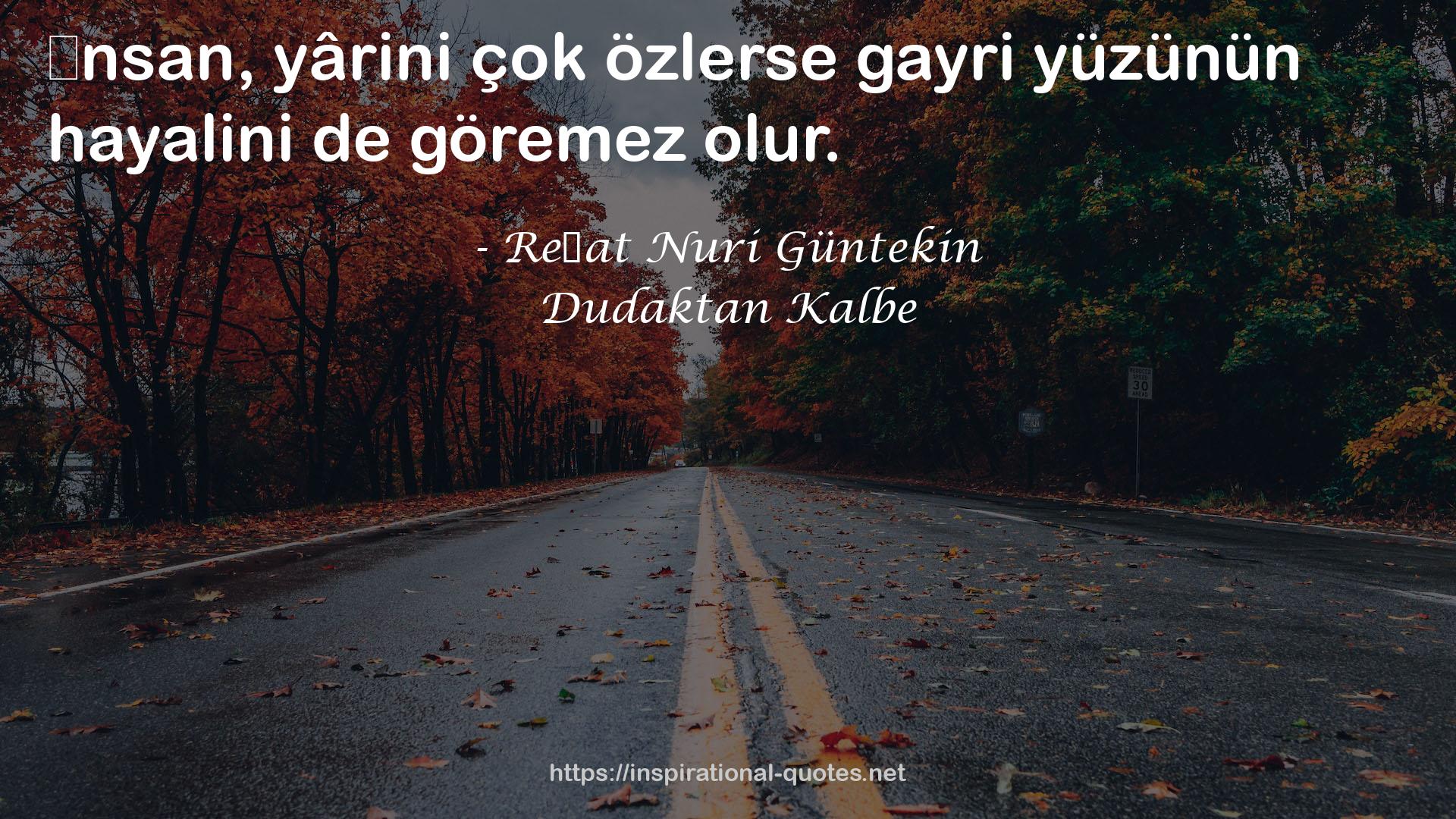 Reşat Nuri Güntekin QUOTES