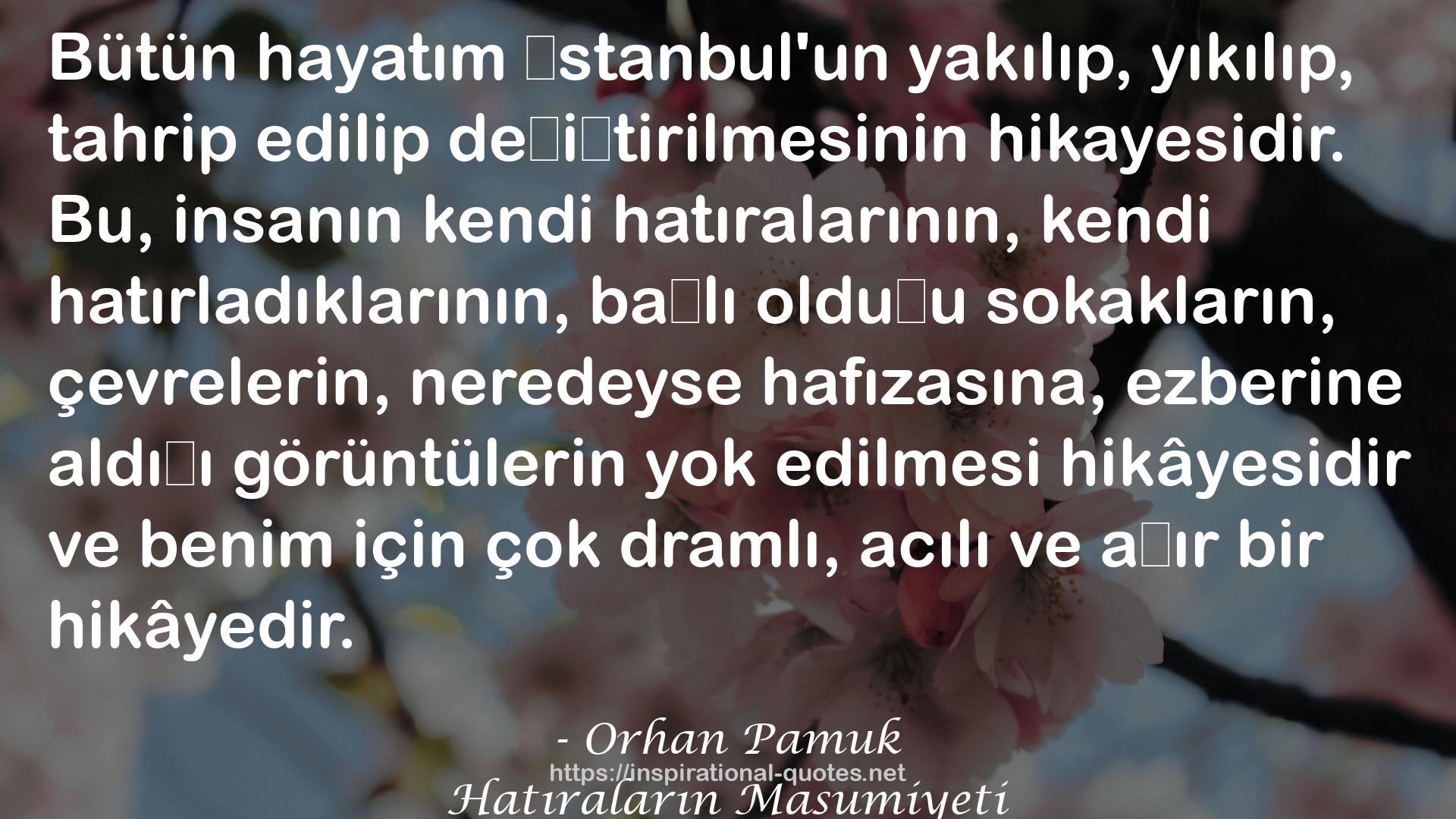 Hatıraların Masumiyeti QUOTES