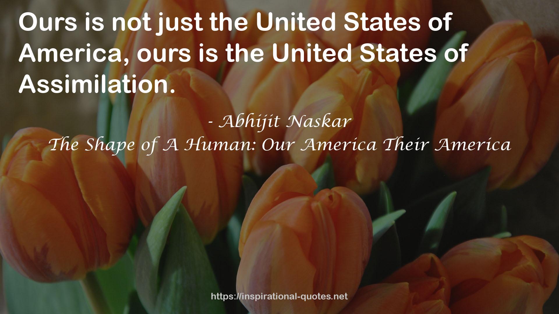 The Shape of A Human: Our America Their America QUOTES