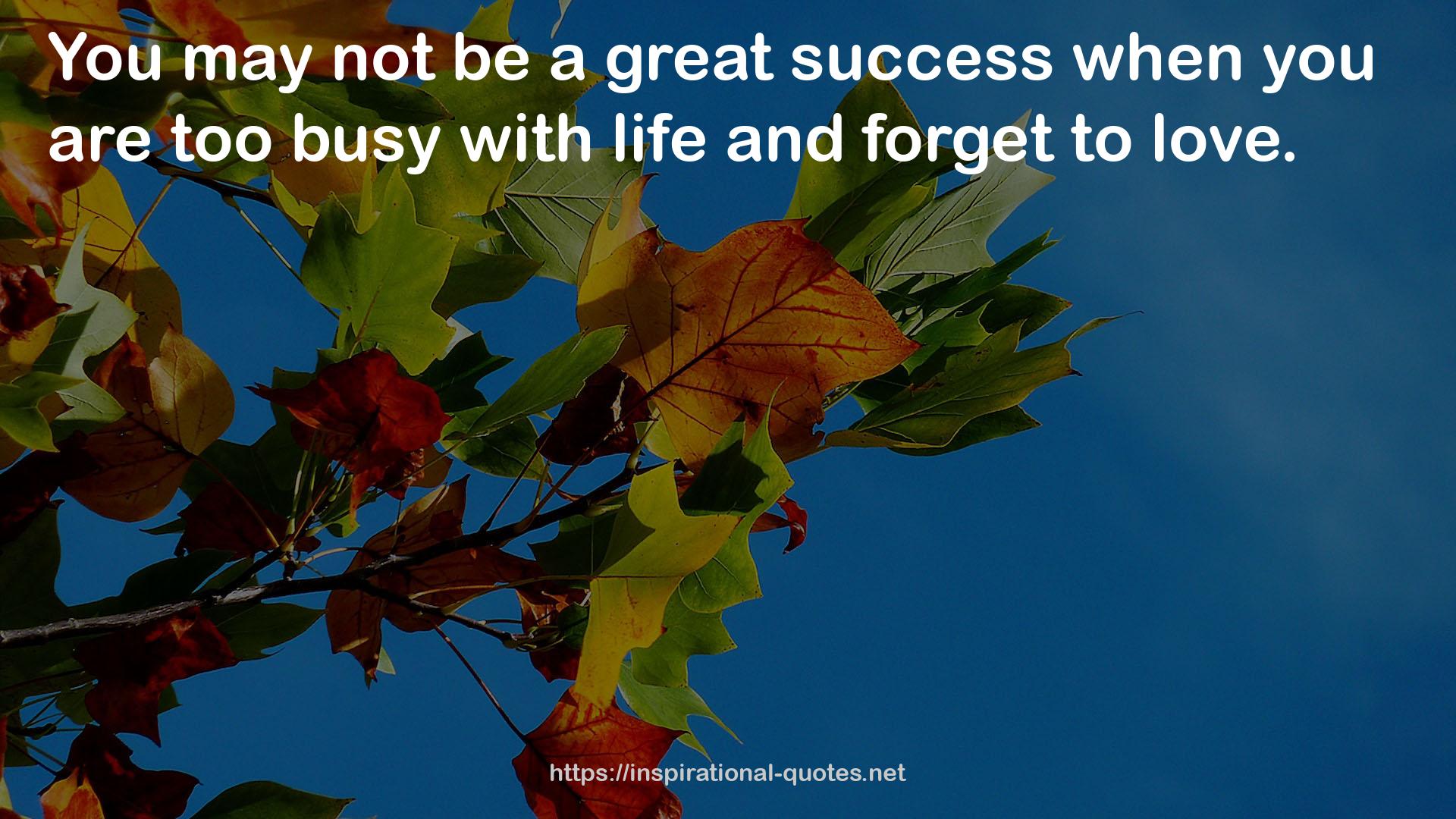 a great success  QUOTES