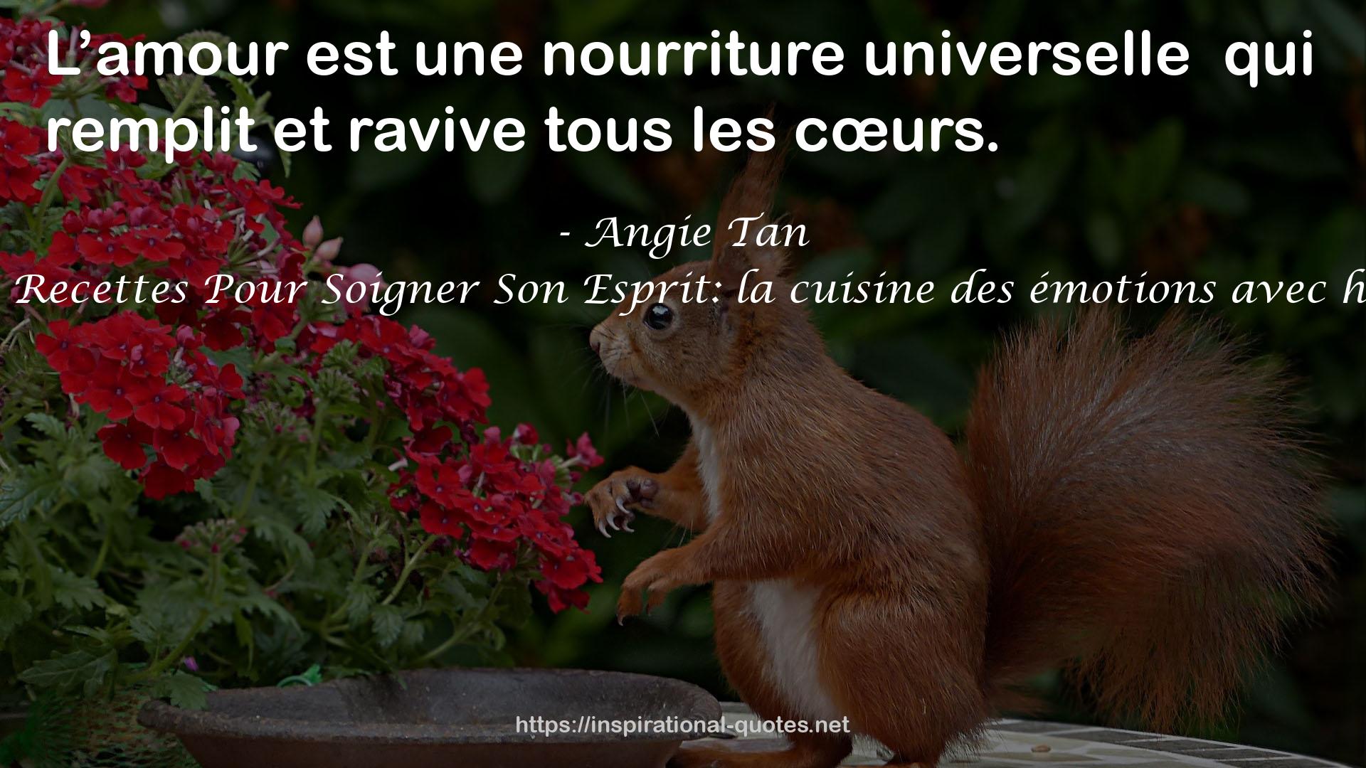 Petites Recettes Pour Soigner Son Esprit: la cuisine des émotions avec humour QUOTES