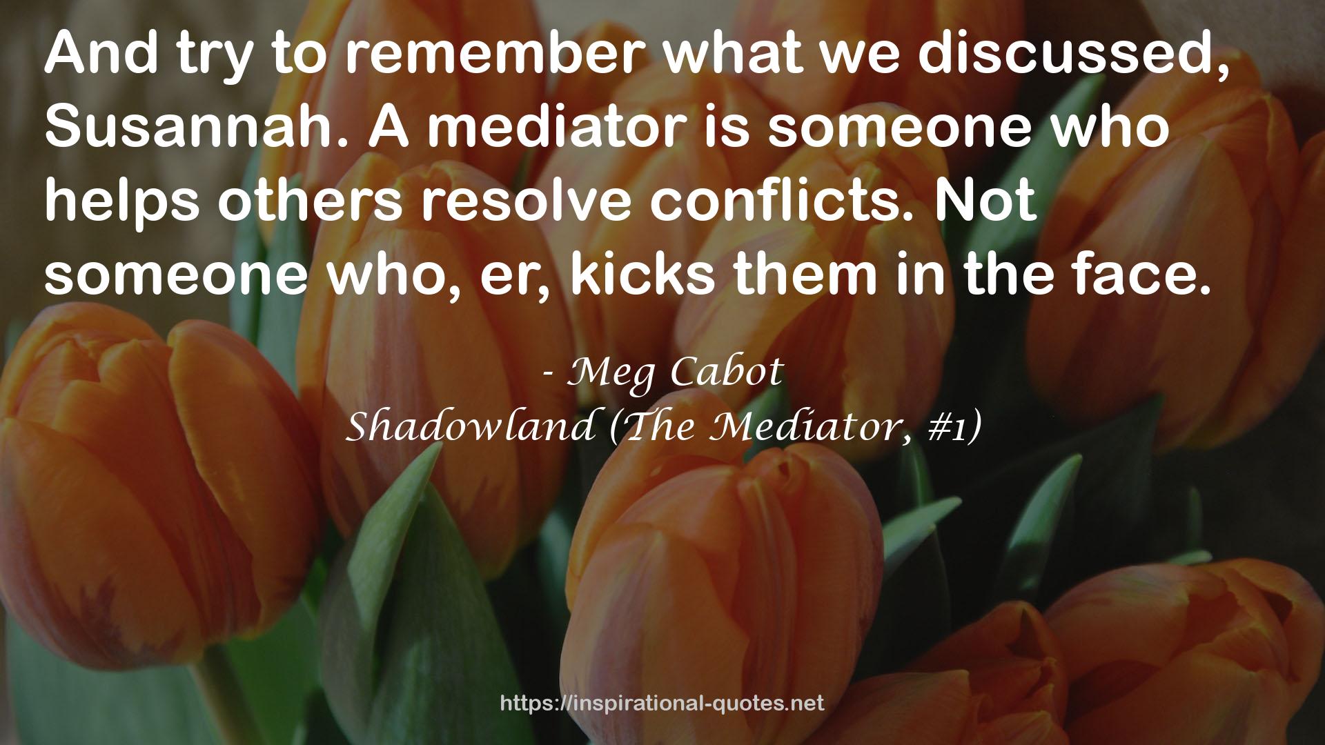 A mediator  QUOTES
