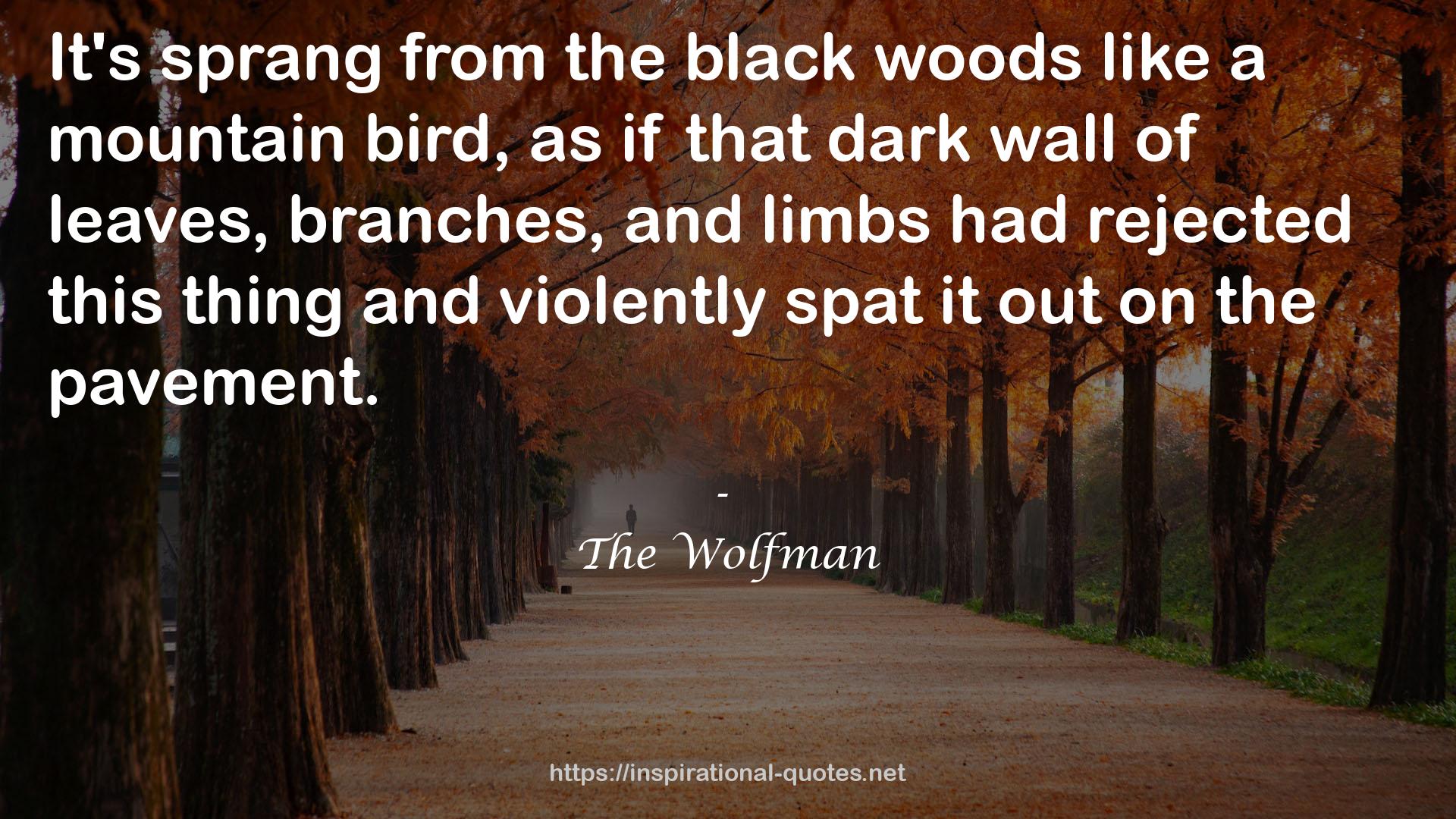 The Wolfman QUOTES
